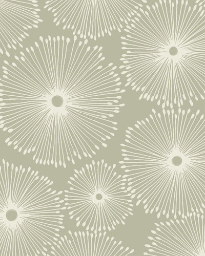 Abstract & Line Art