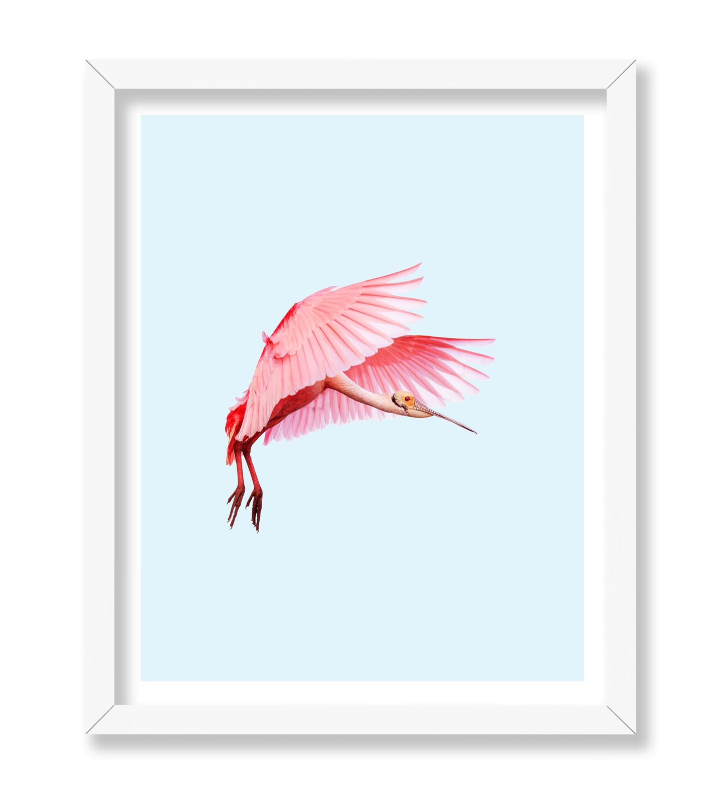 Pink Flamingo No2
