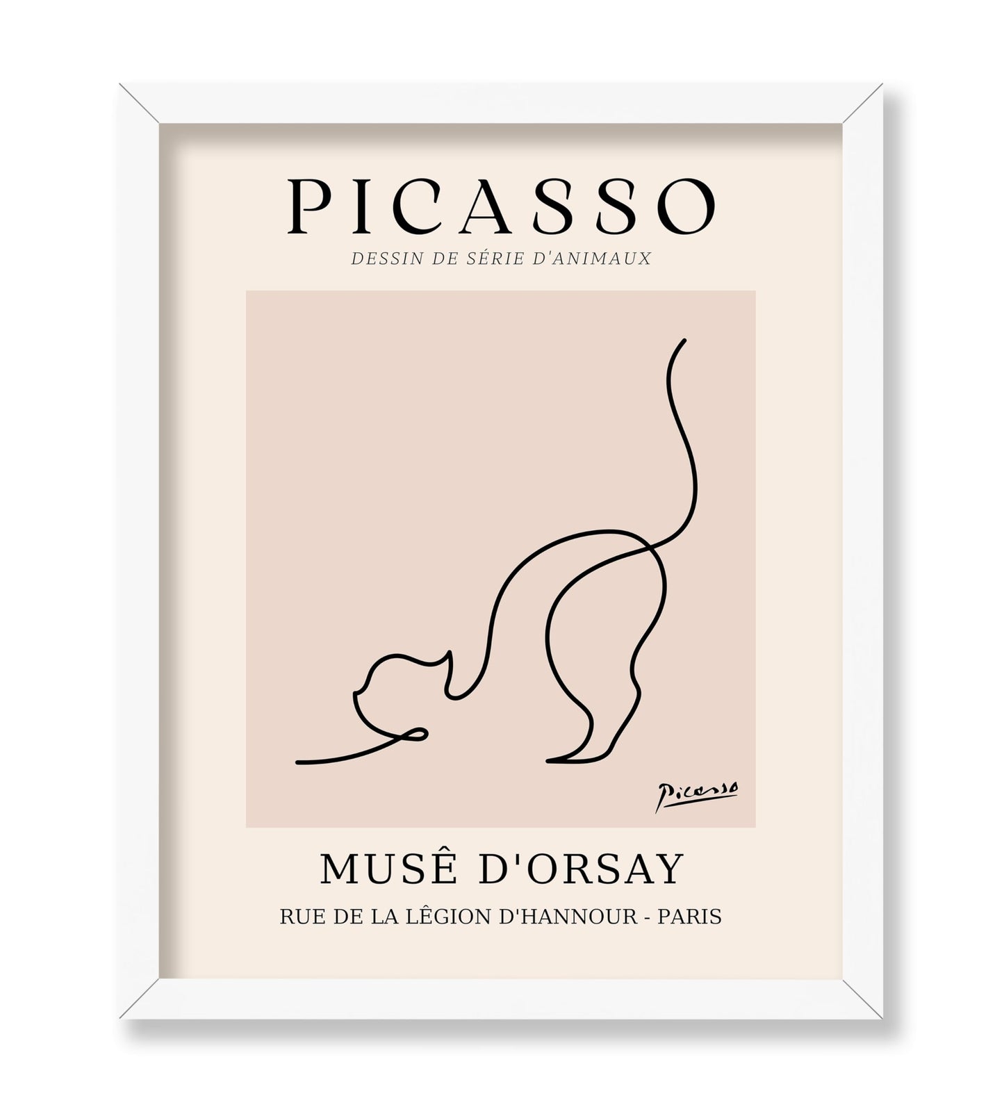 Picasso - One Line Cat Drawing