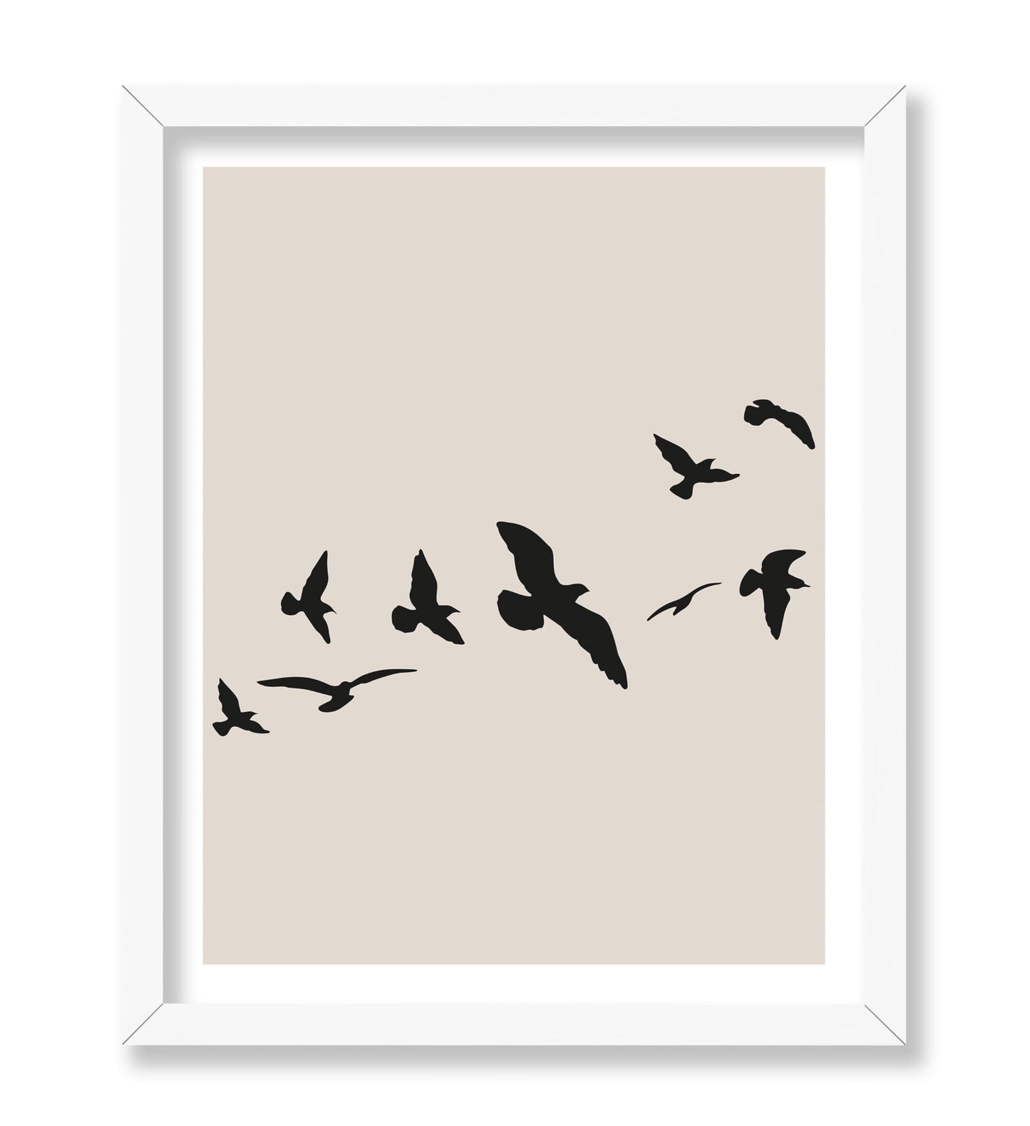 Flying Birds Silhouette