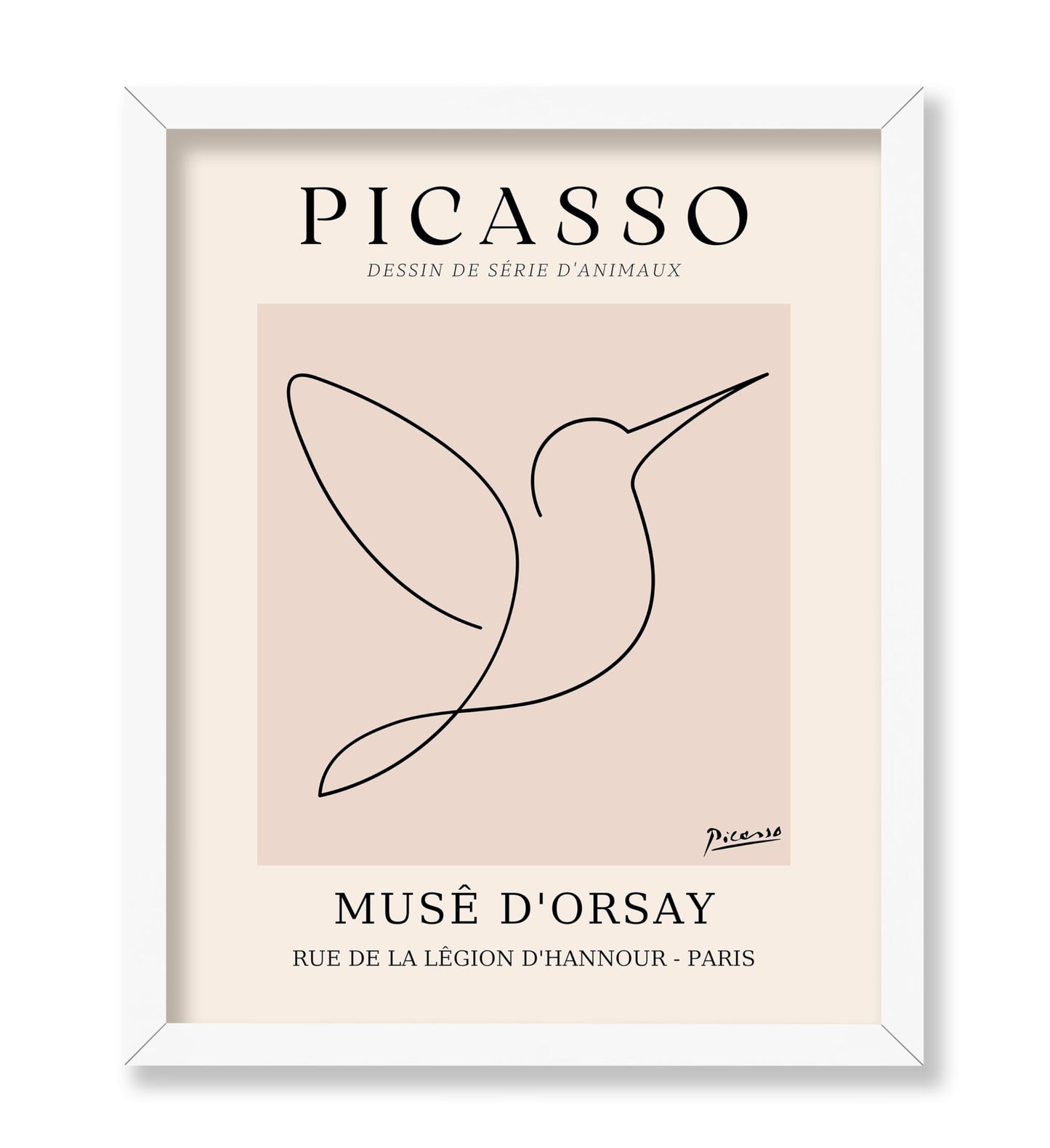 Picasso - One Line Hummingbird Drawing