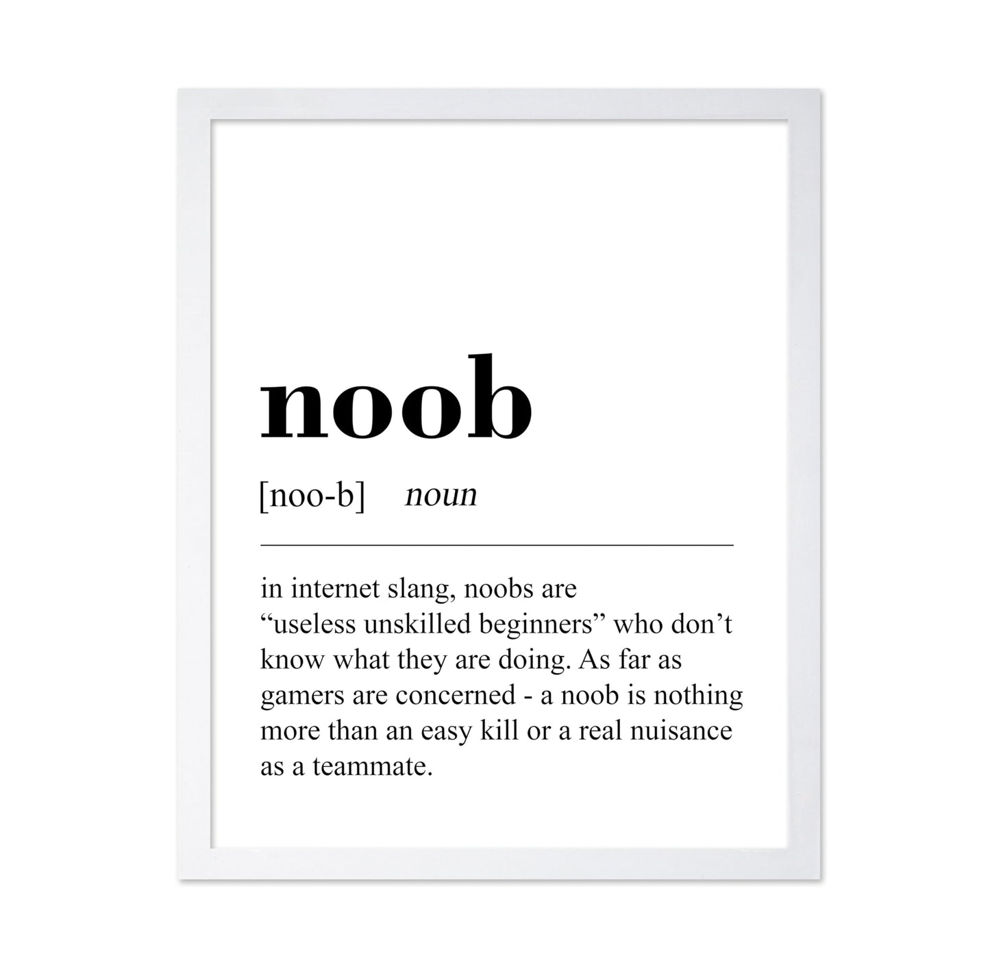 Noob Definition