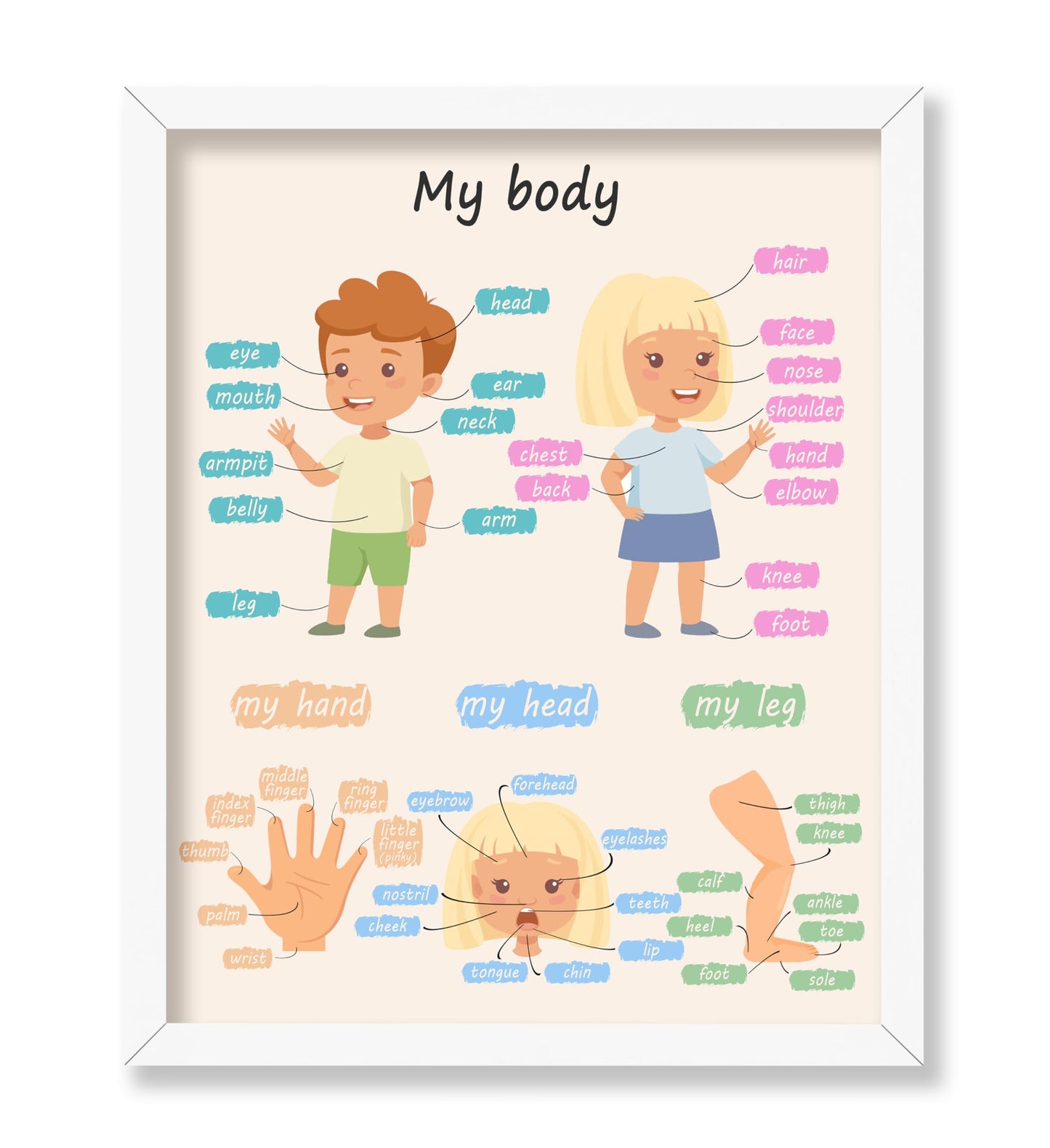 My Body