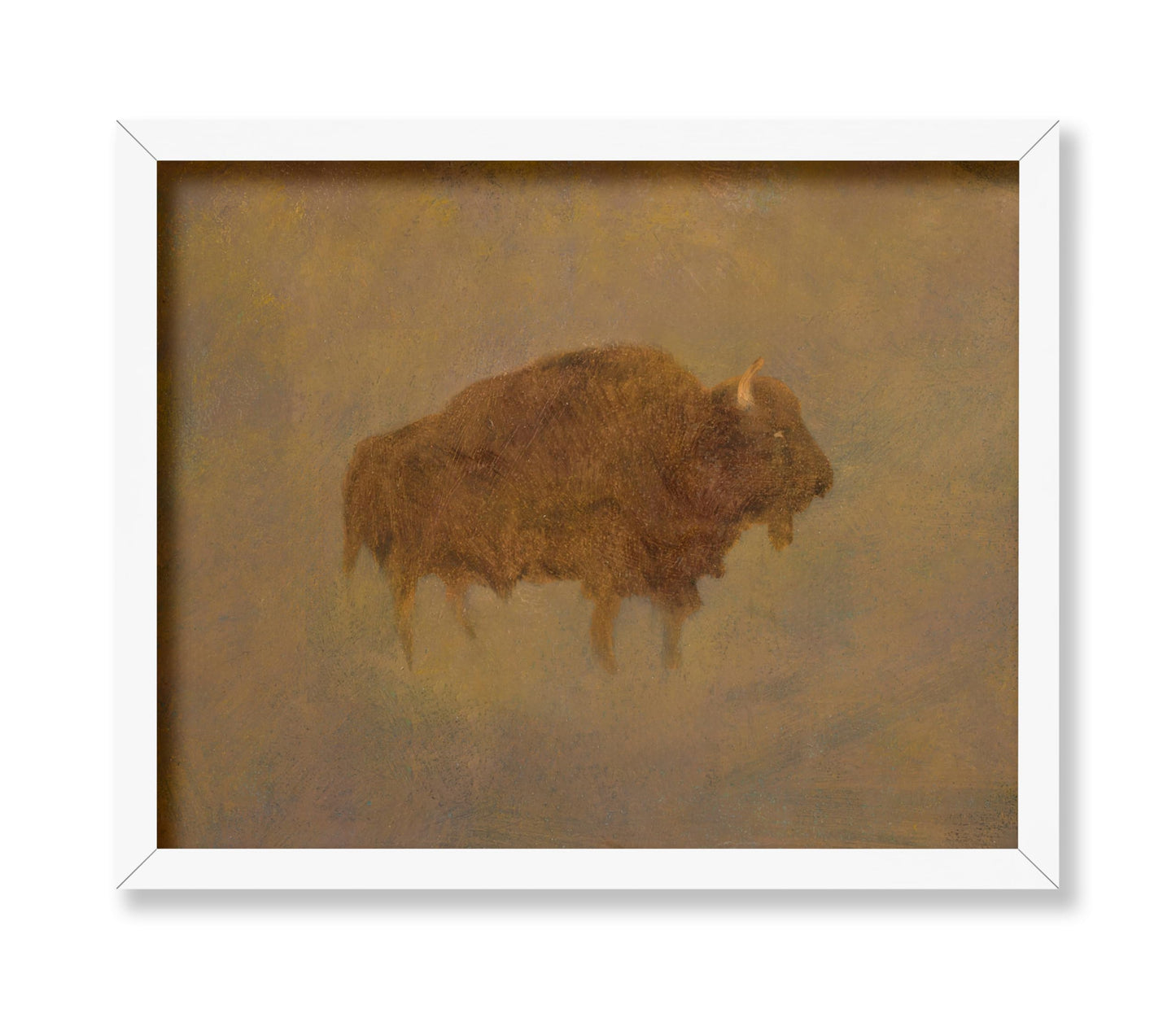 Buffalo in a Sandstorm