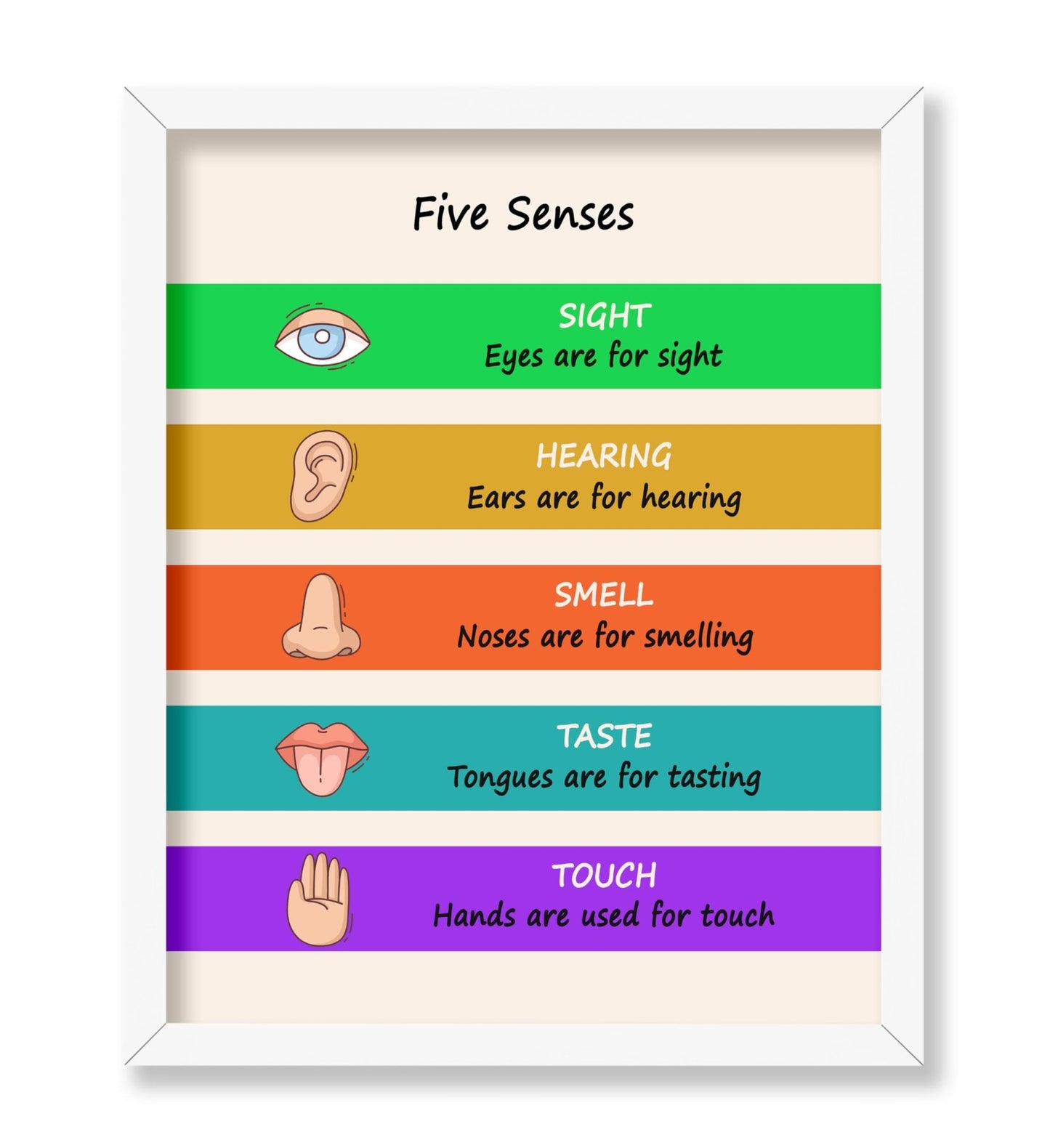 Five Senses