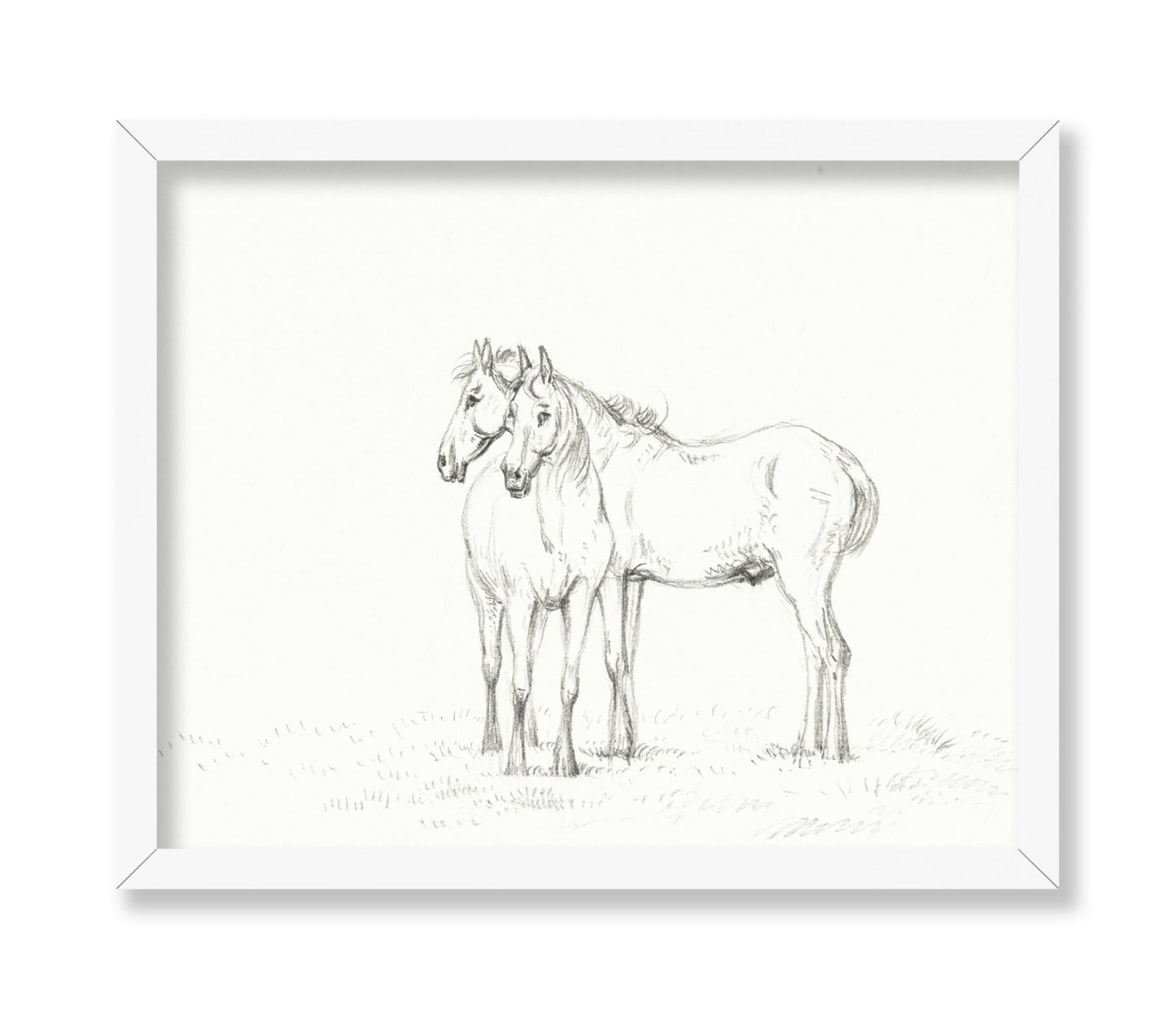 Two Horses Sketch
