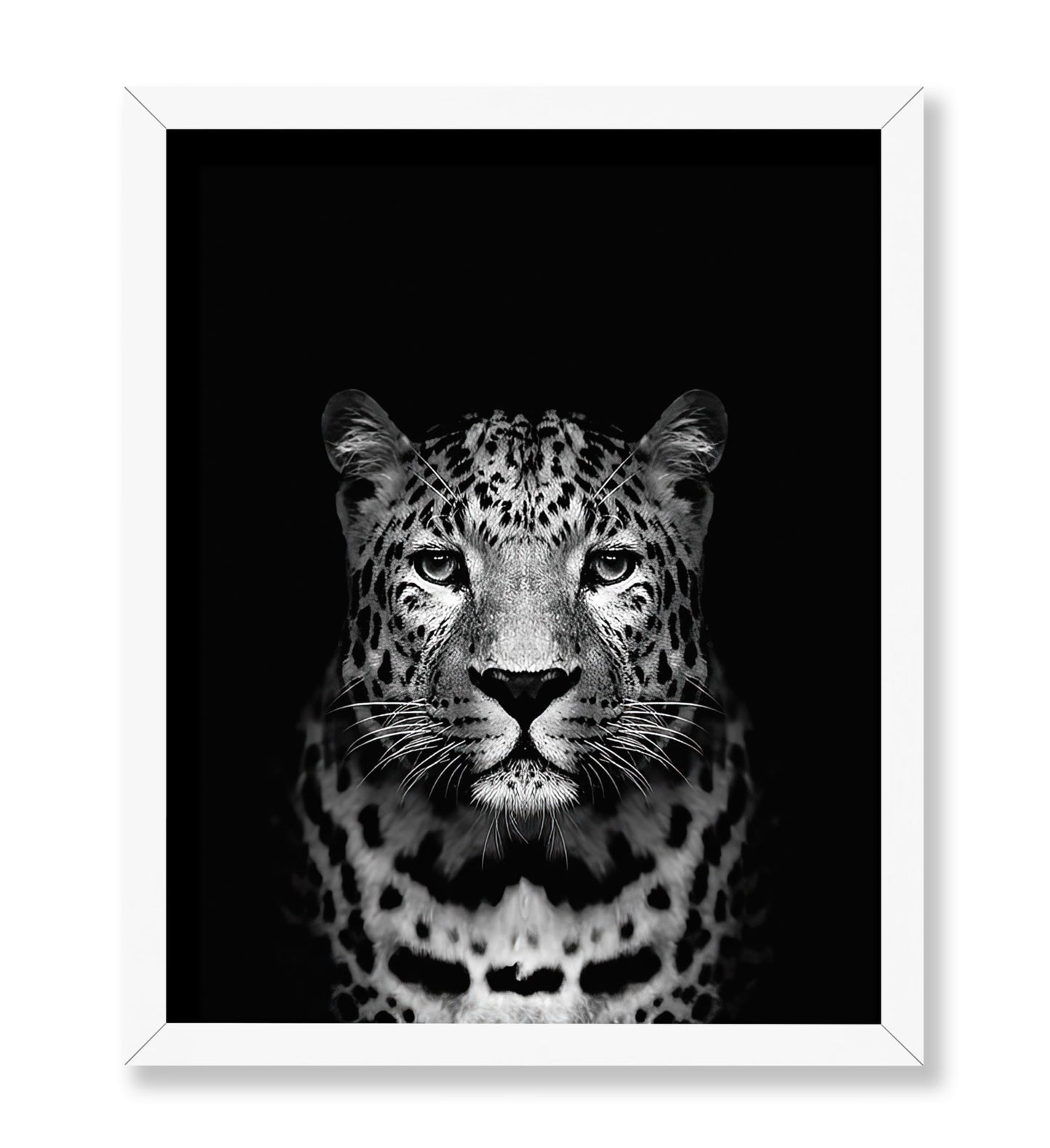 Tiger No3