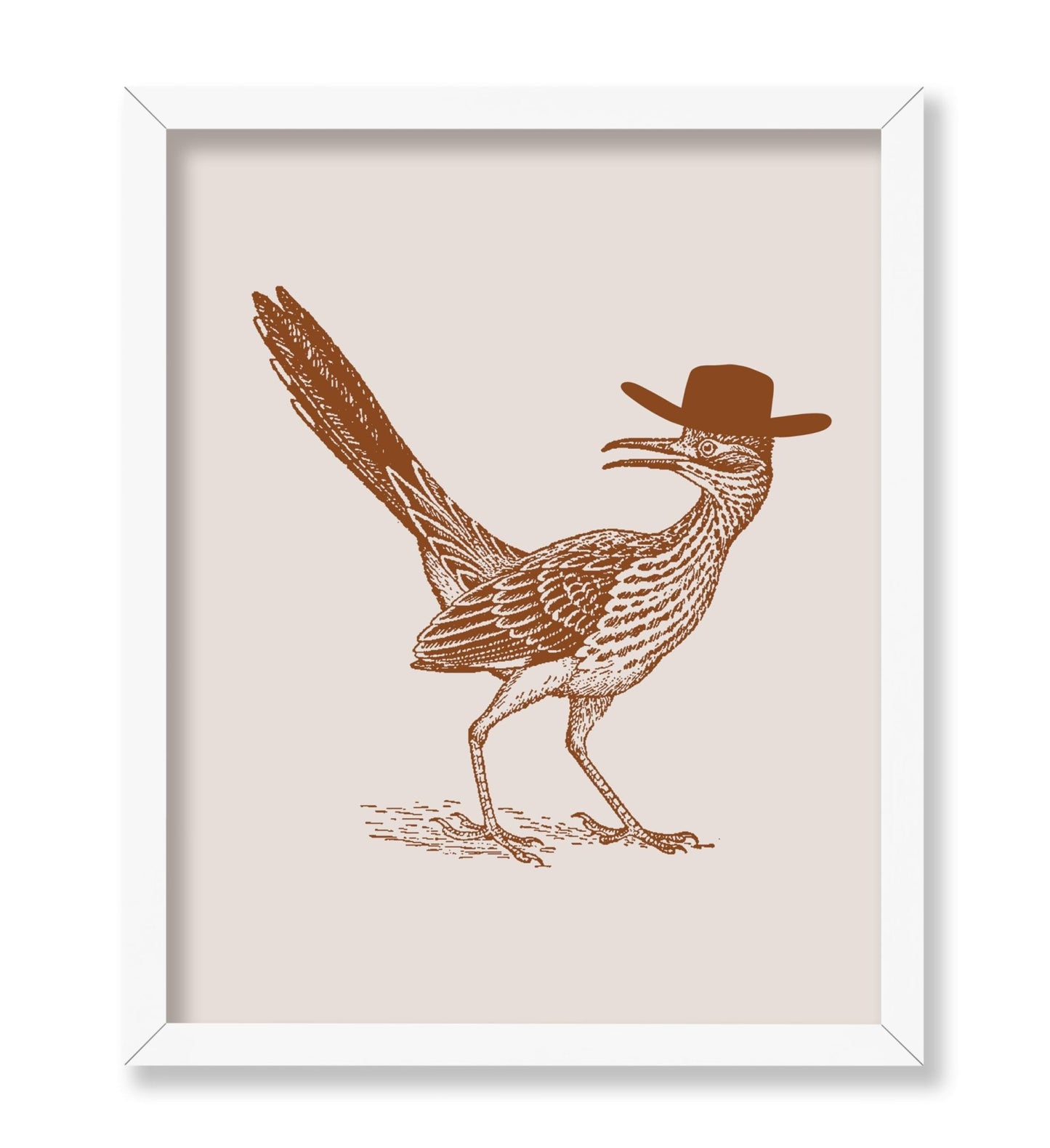Brown Roadrunner