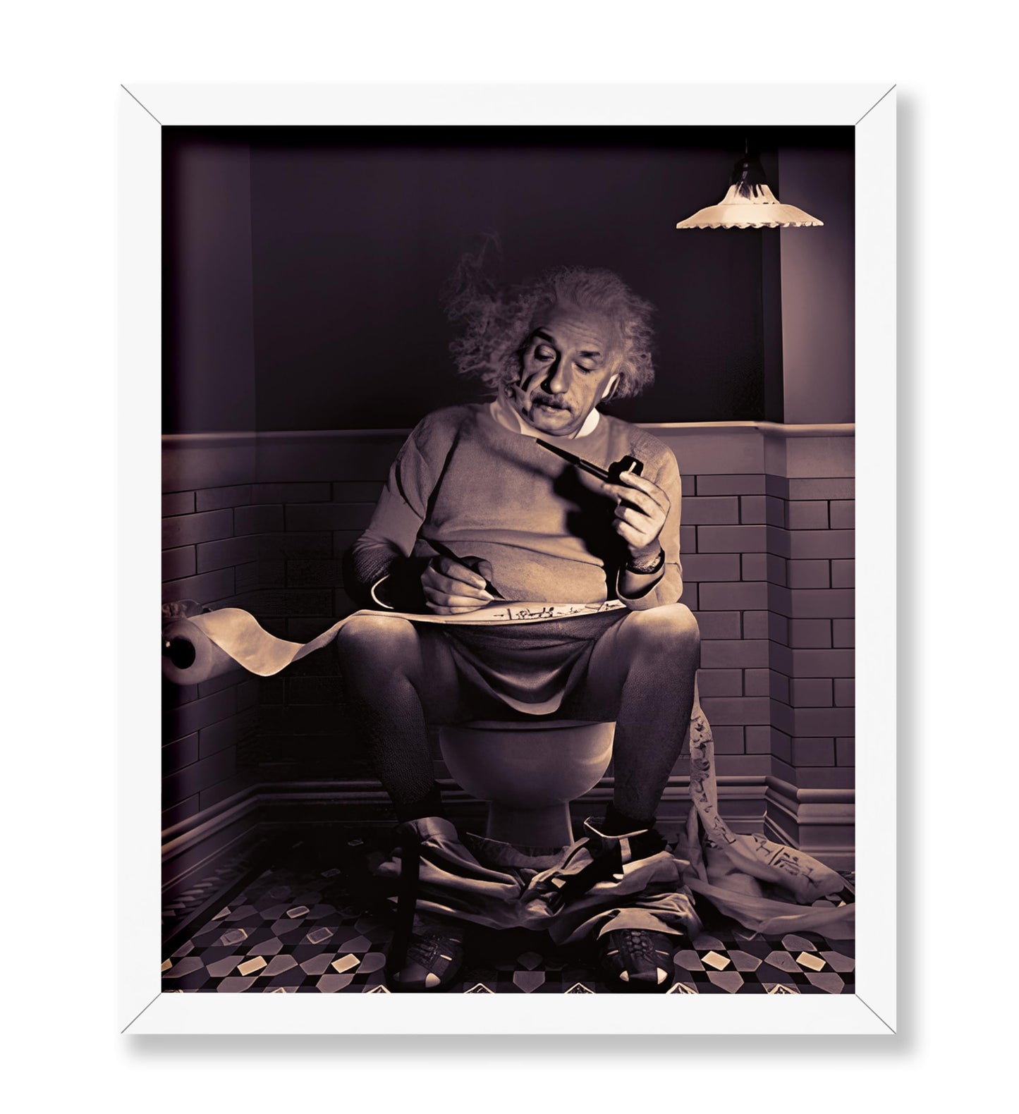Einstein Sitting on Toilet