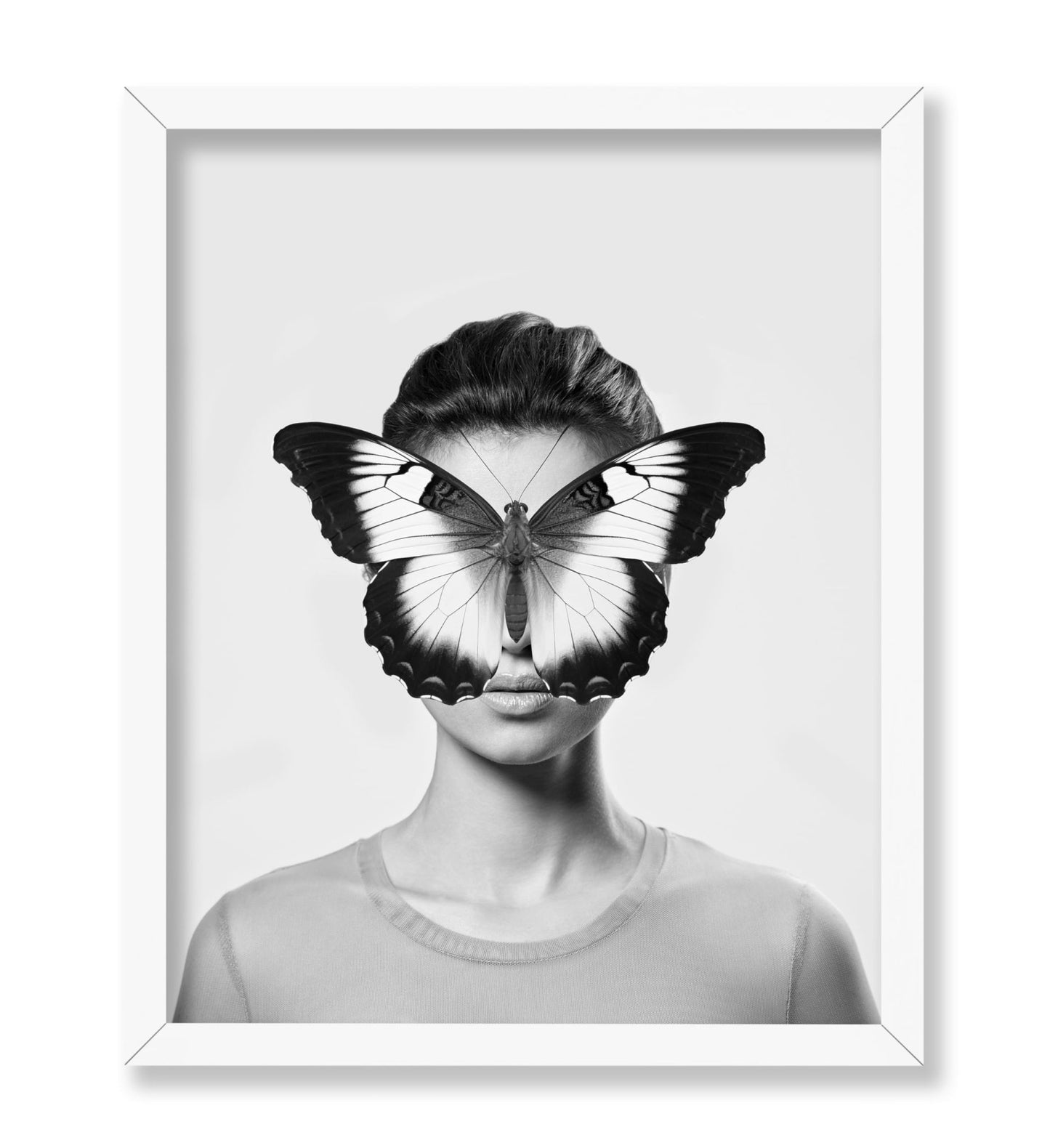 Butterfly Collage No2