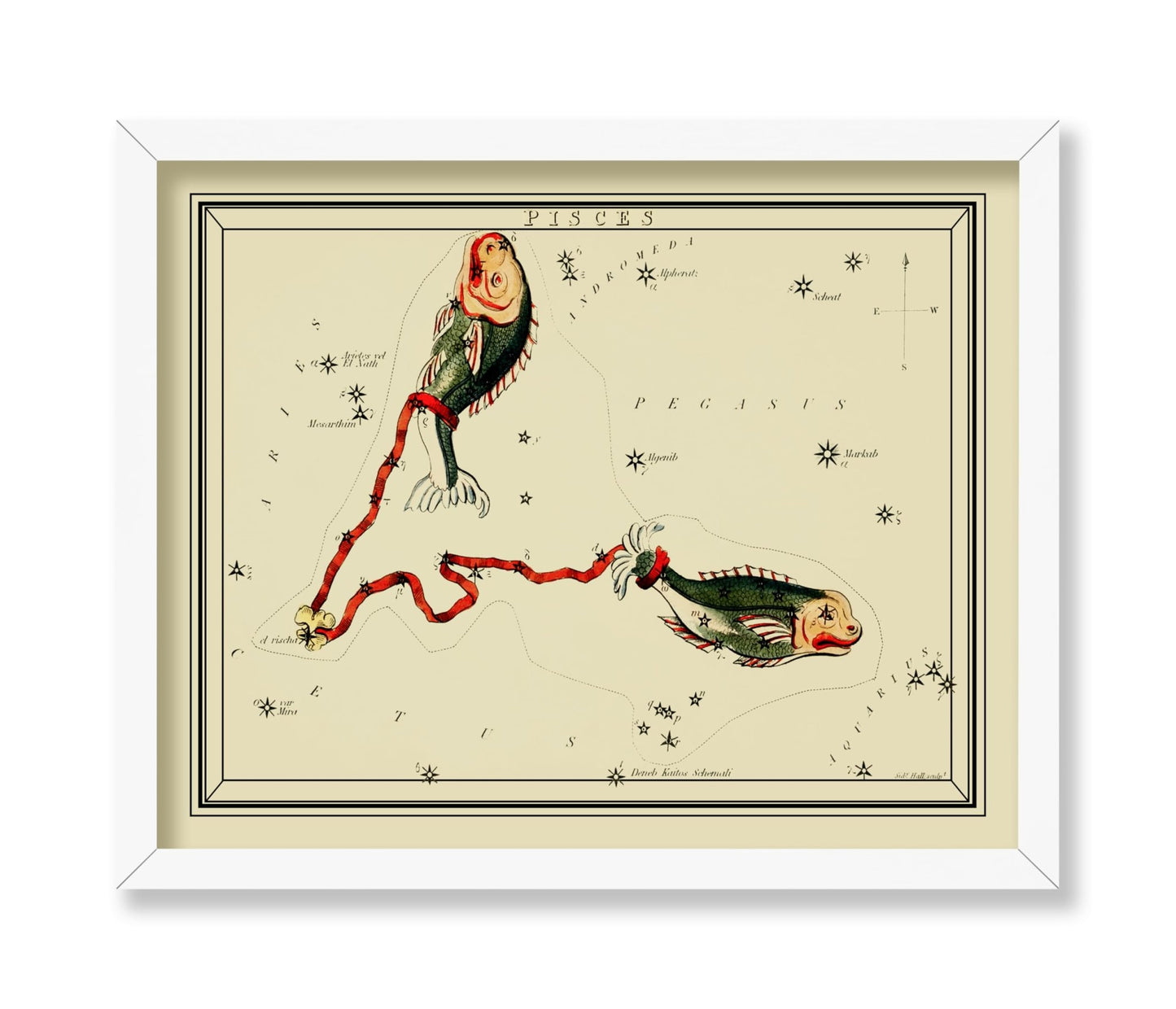 Urania's Mirror Pisces