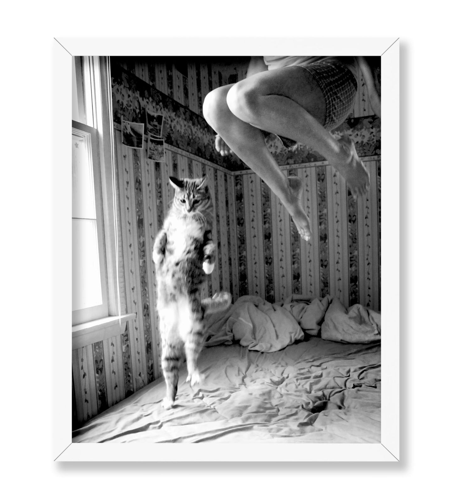 Woman & Cat No2