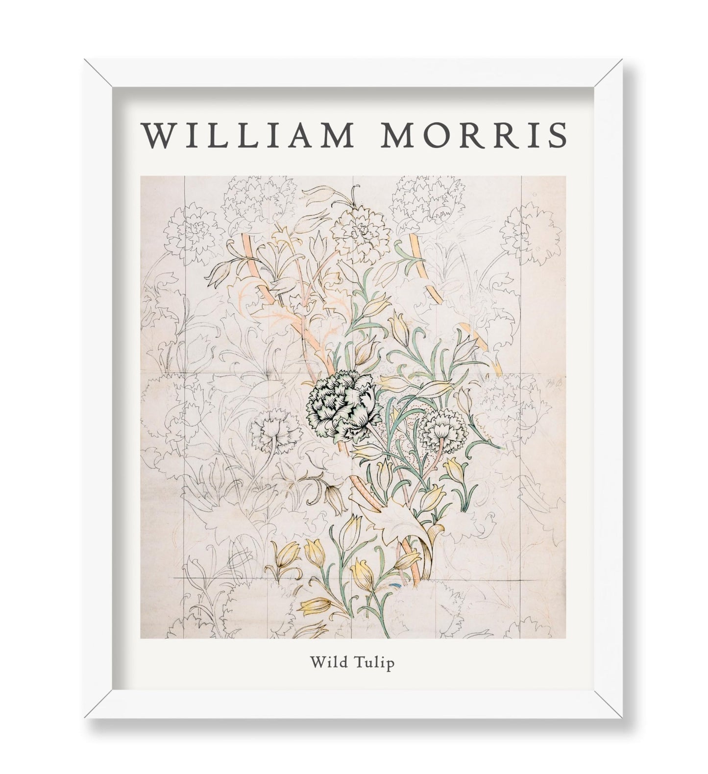 William Morris - Wild Tulip No2