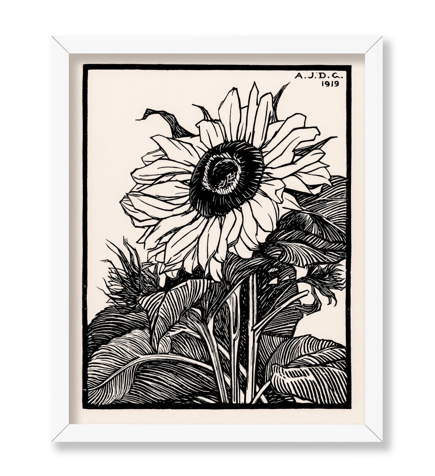 Julie De Graag - Sunflower