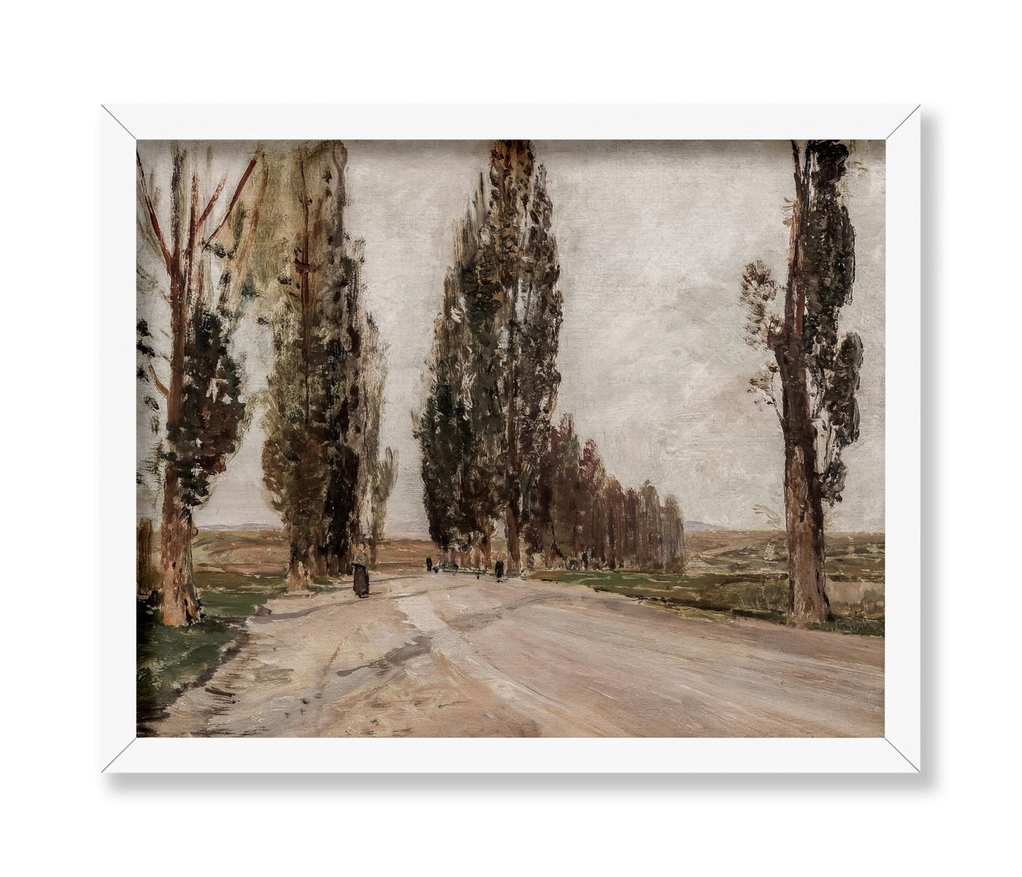 Boulevard of Poplars near Plankenberg