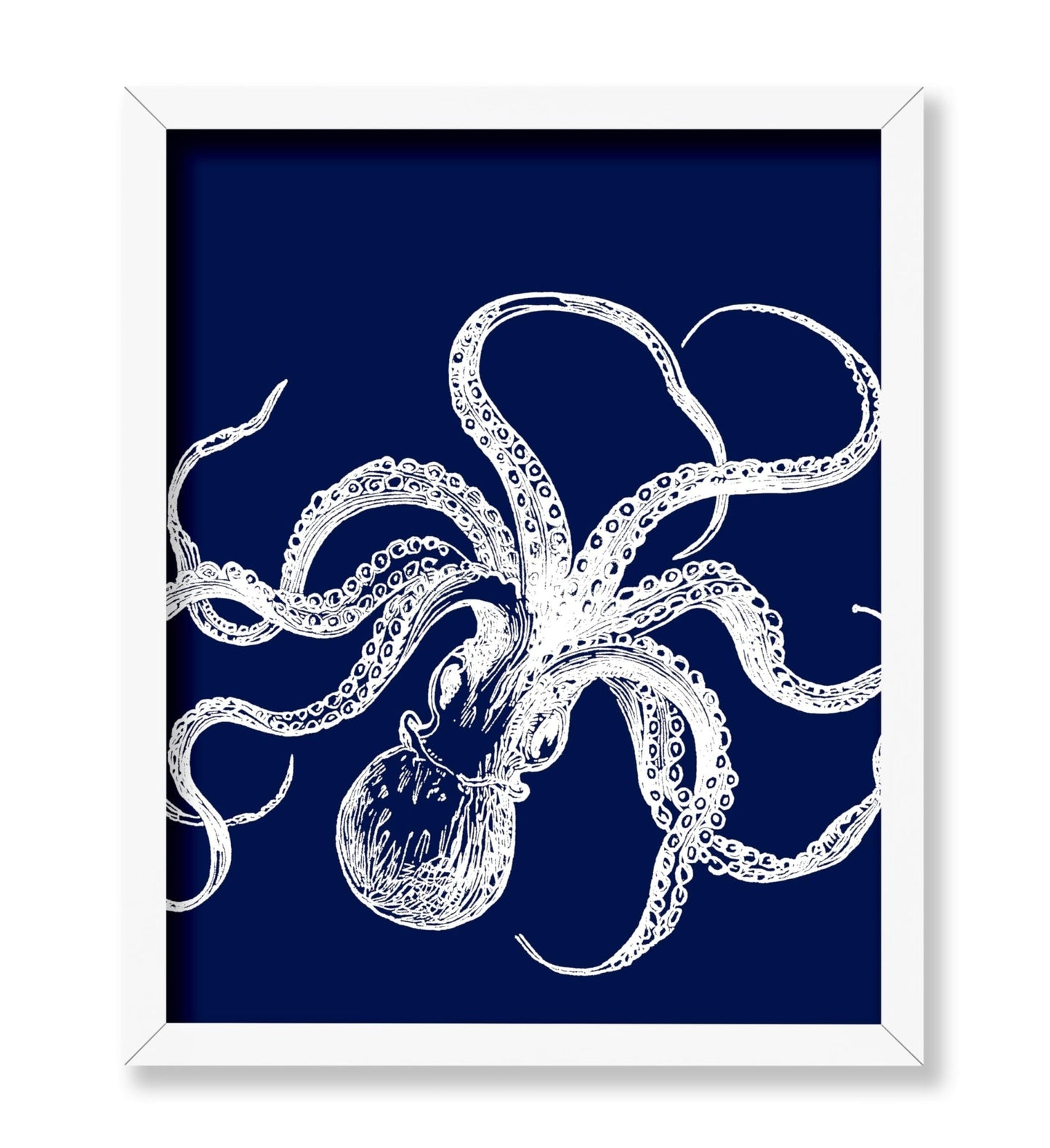 Octopus No1