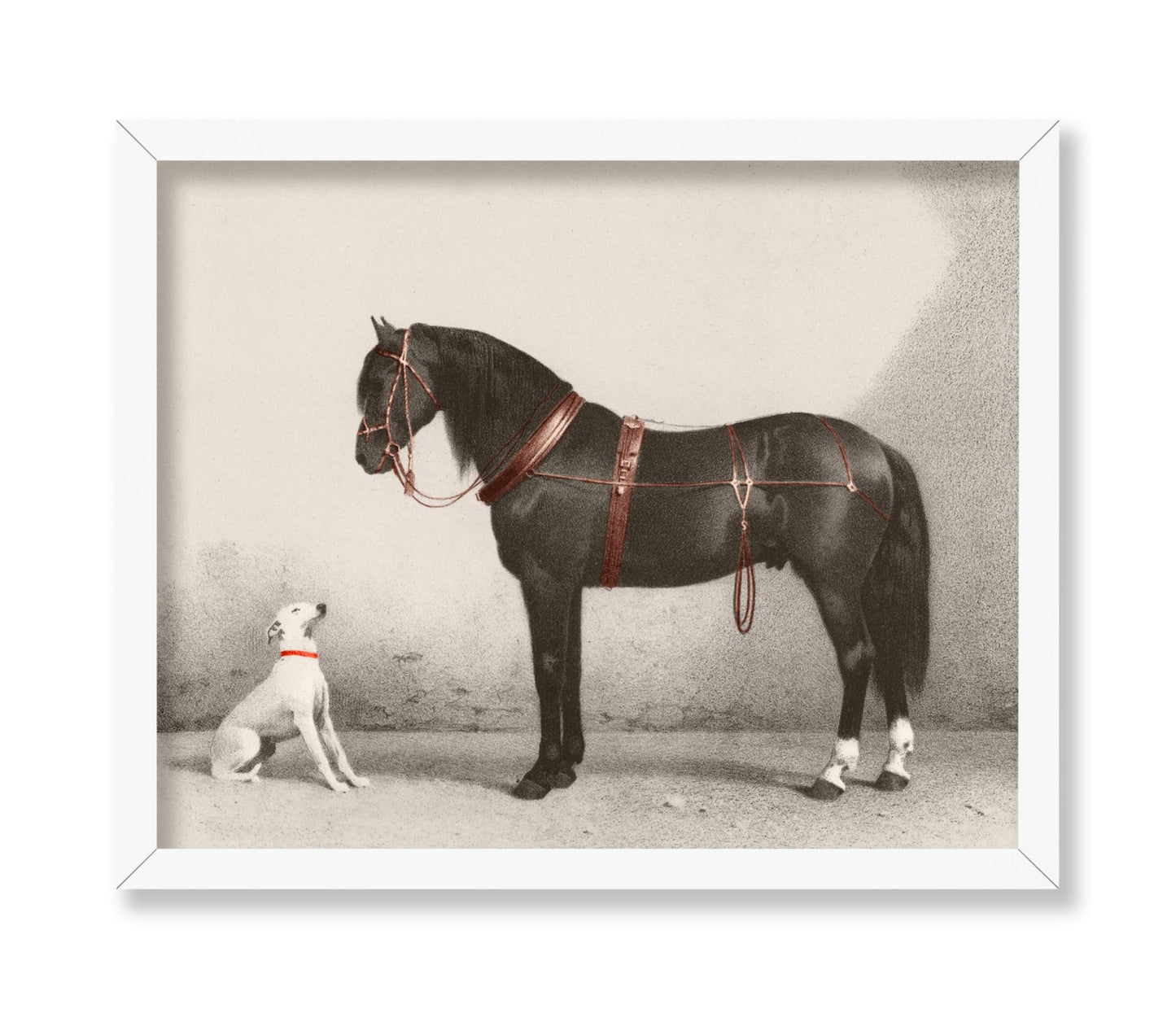 Horse and Dog
