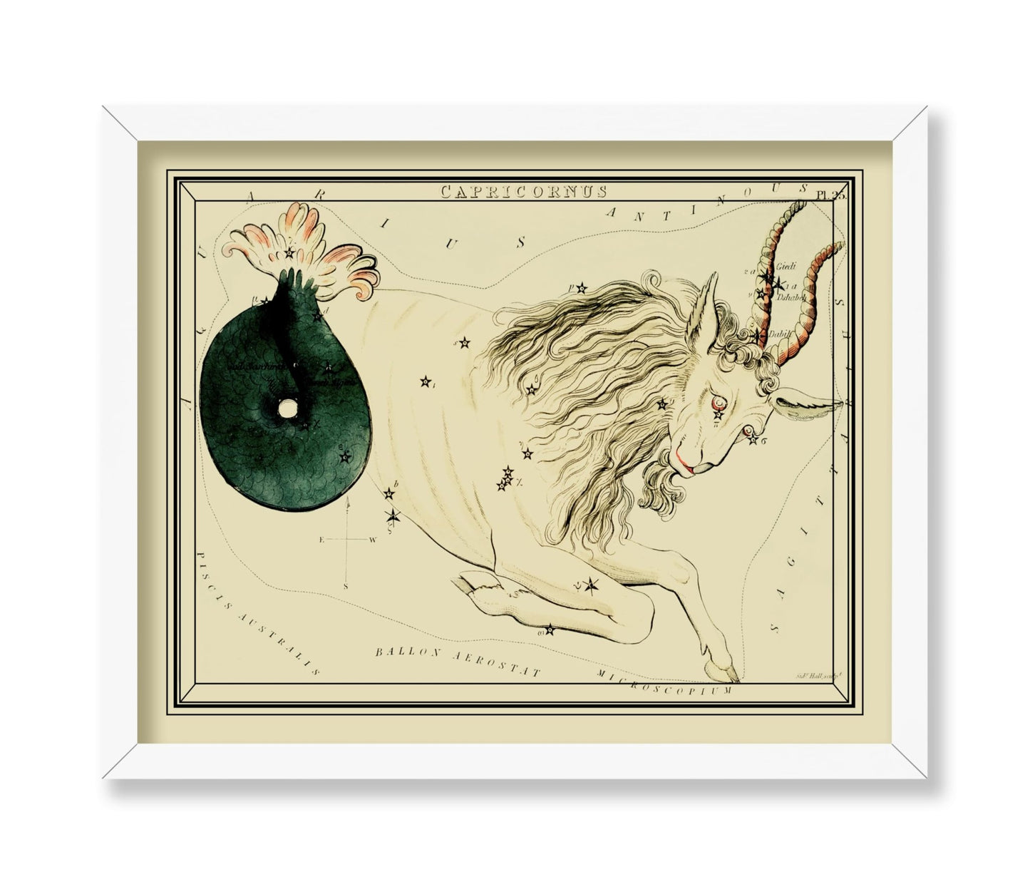 Urania's Mirror Capricornus