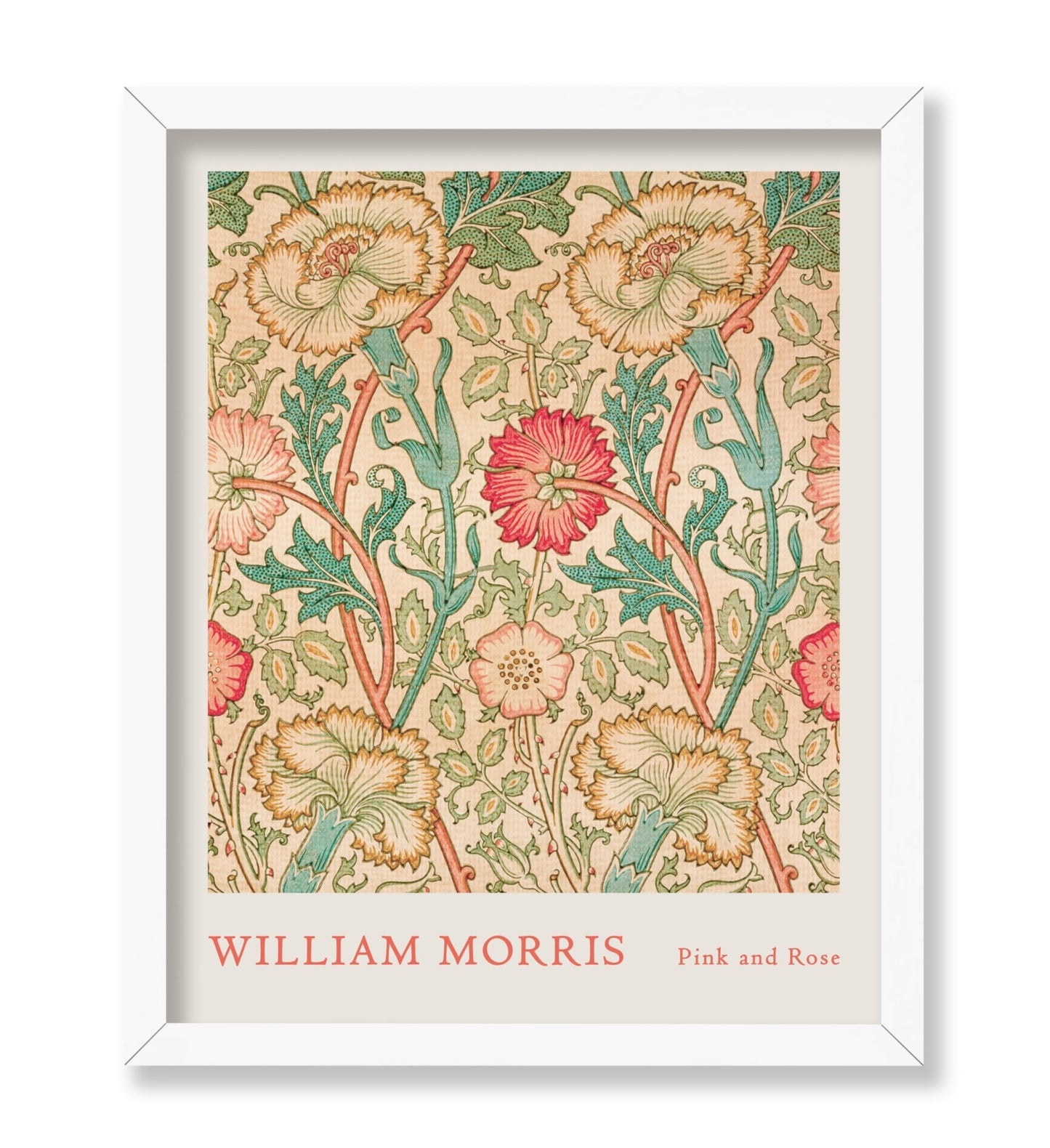 William Morris - Rose No3