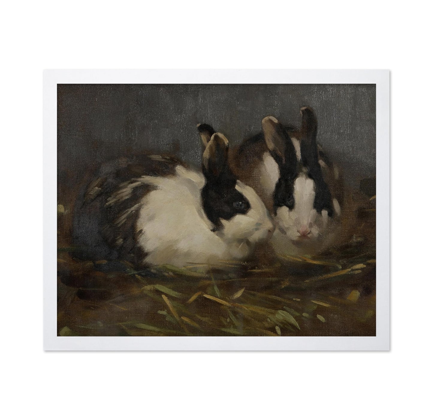 Dutch Rabbits
