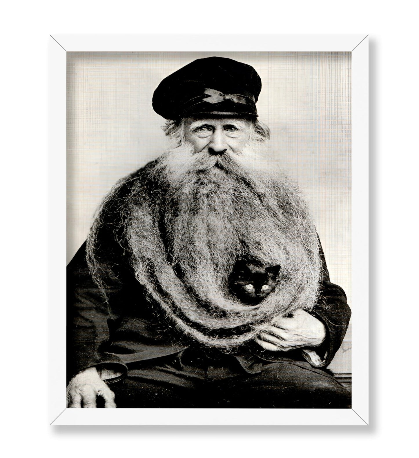 Cat in Beard