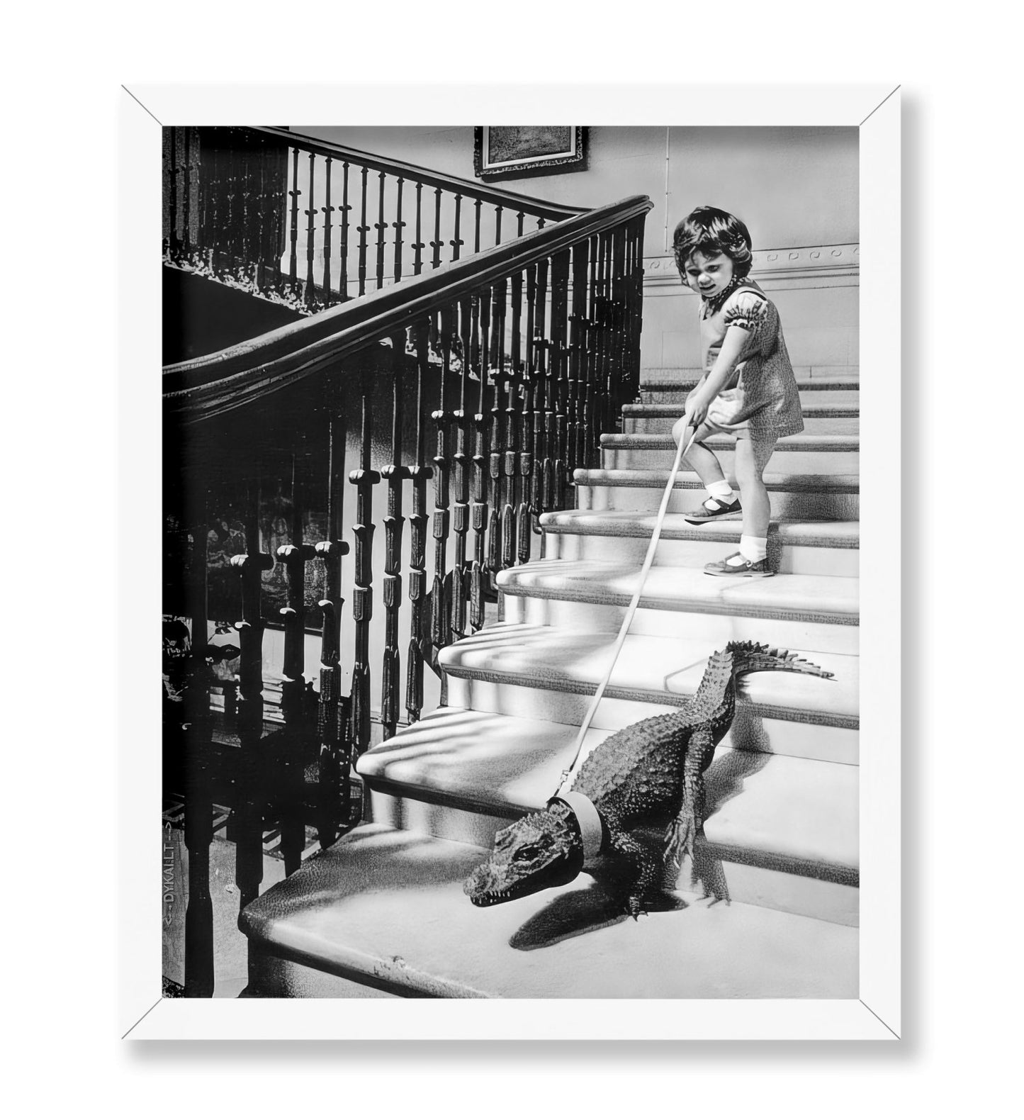 Little Girl and Alligator