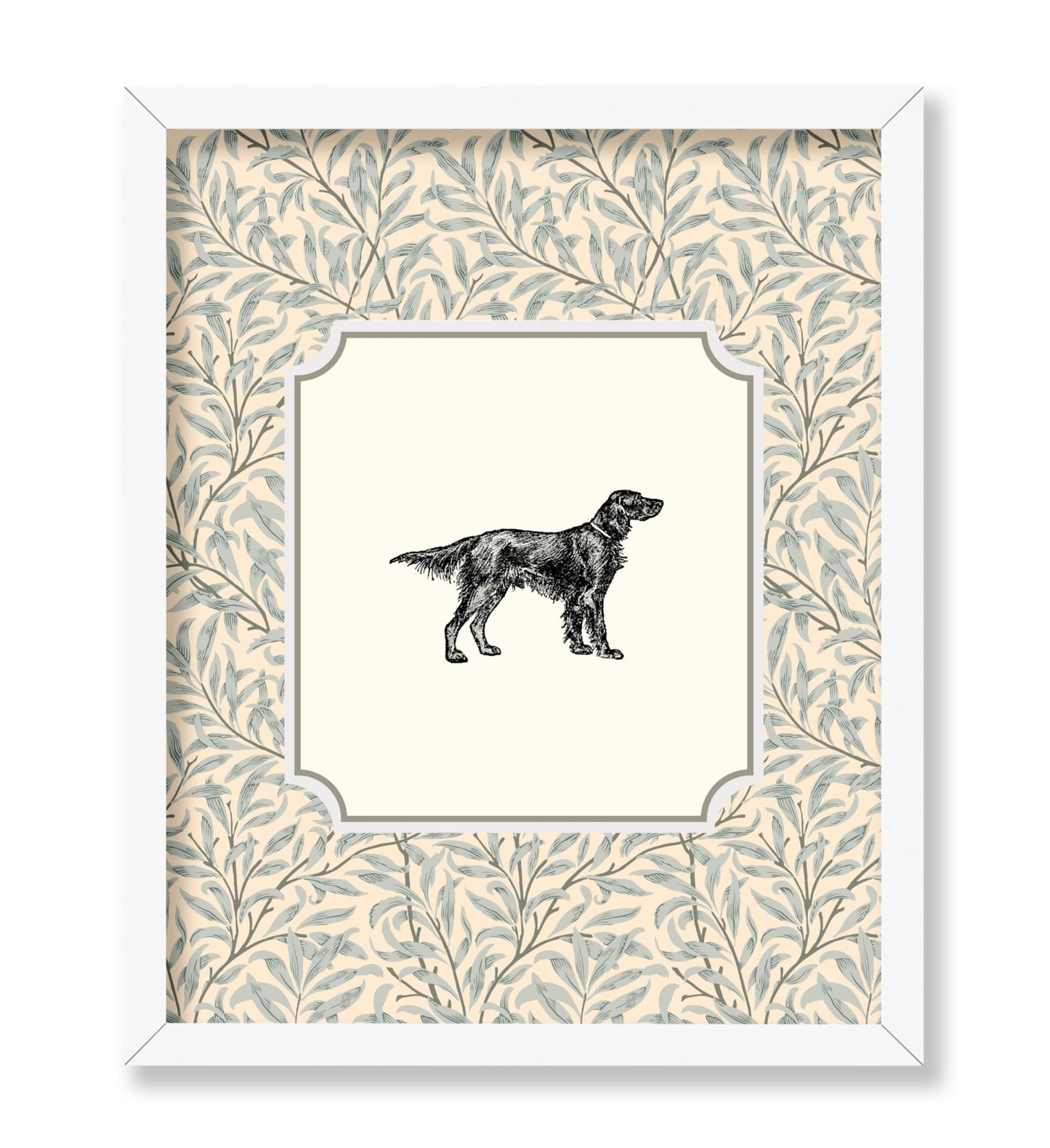 Irish Setter