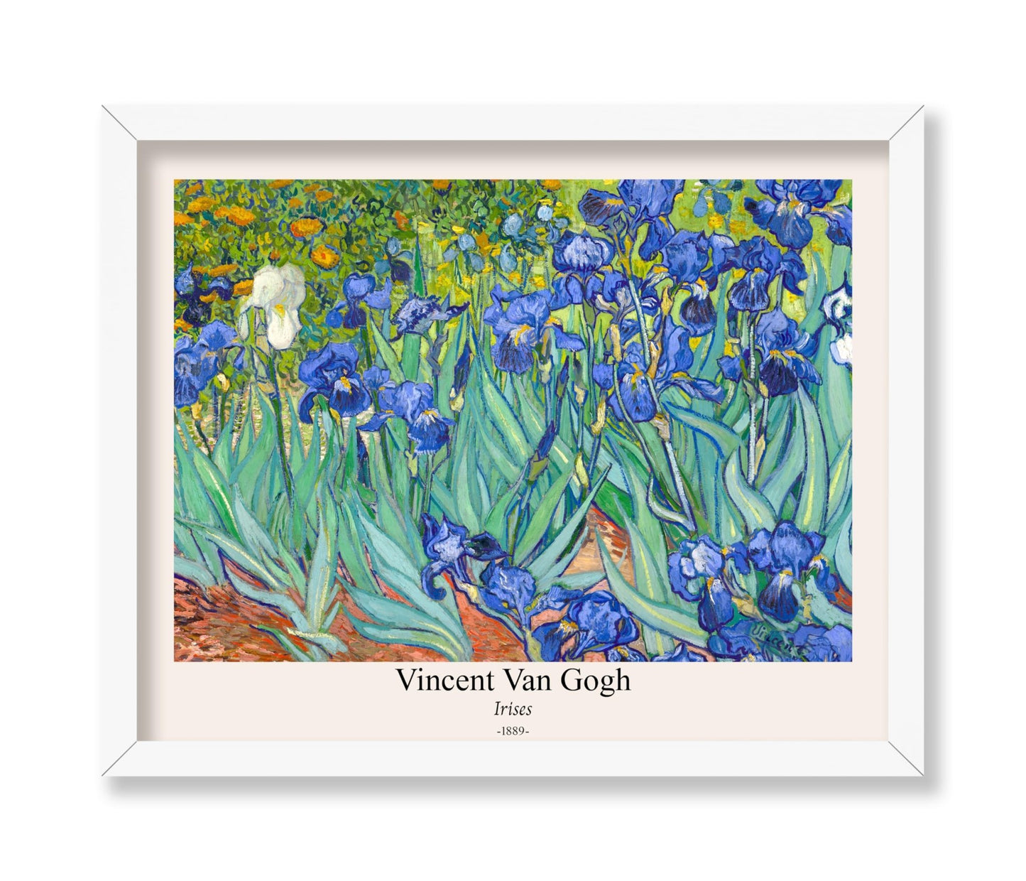 Van Gogh - Irises No2