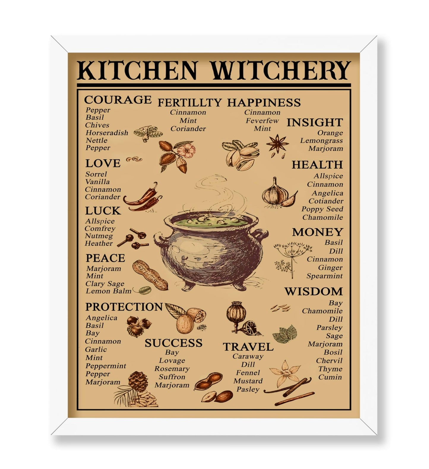 Witches Magic Knowledge
