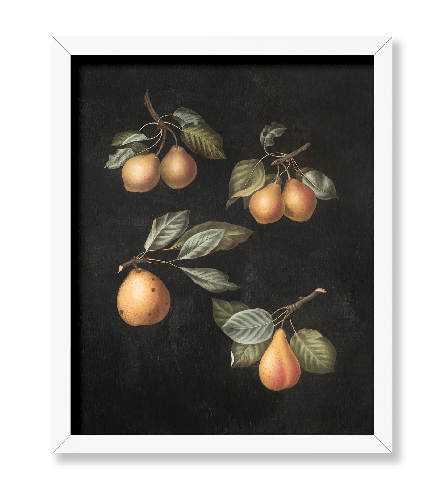 George Brookshaw - Pears