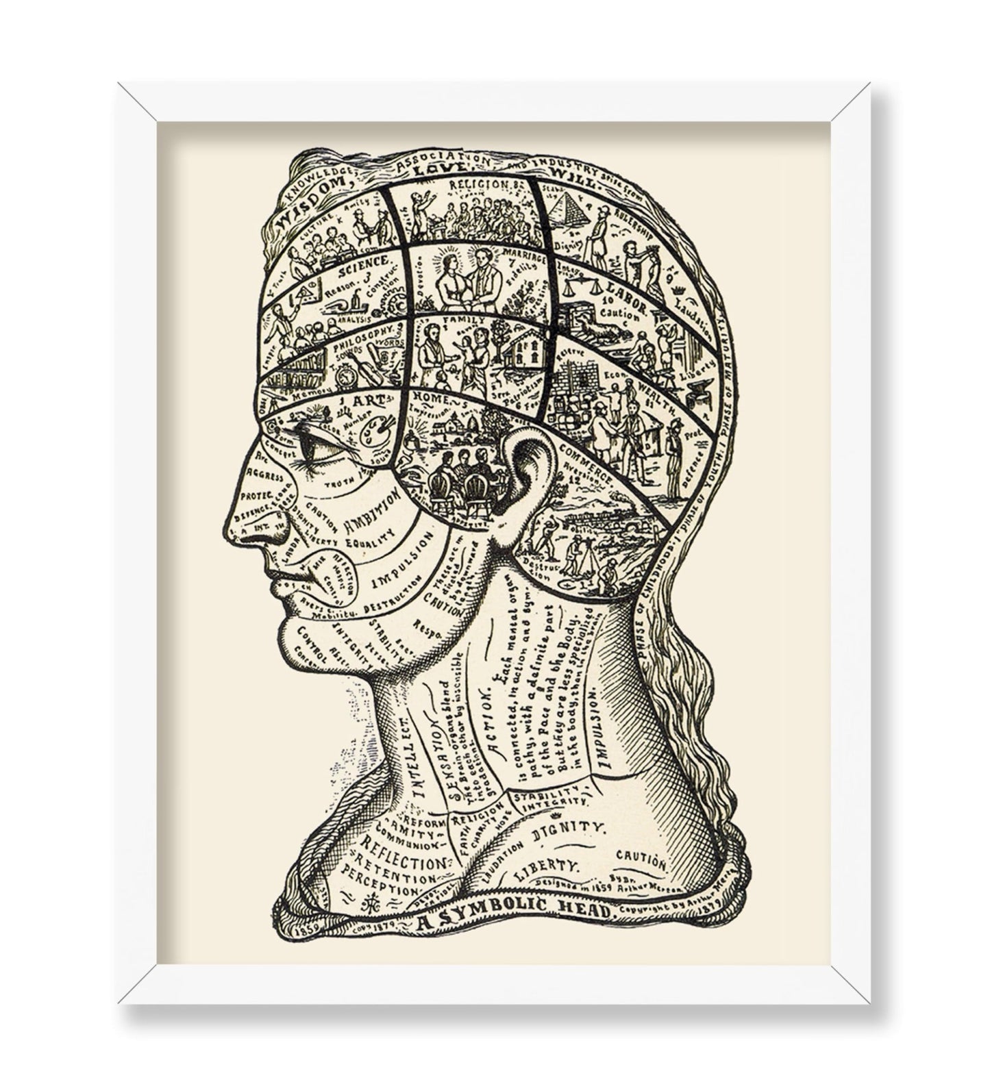 A Symbolic Head, Phrenology Diagram