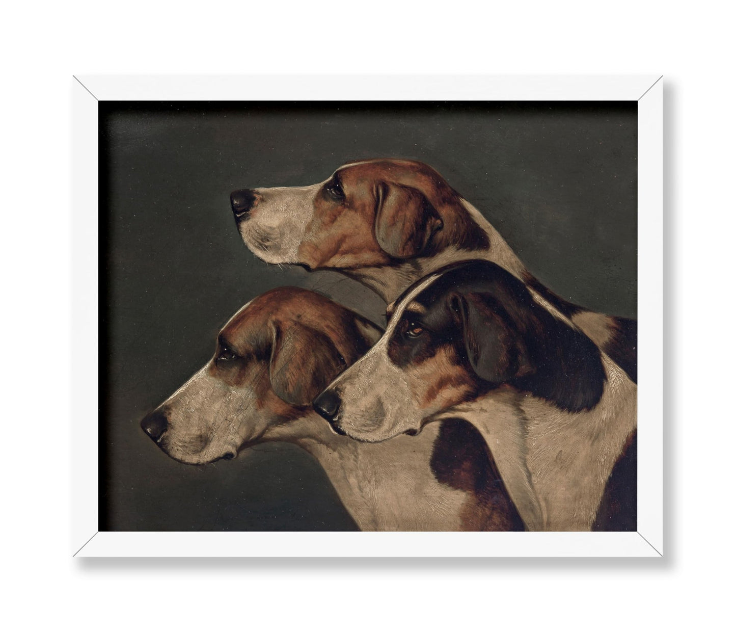 John Arnold Wheeler - Three English Foxhounds