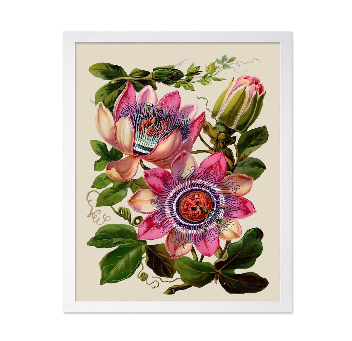 Passion Flower No2
