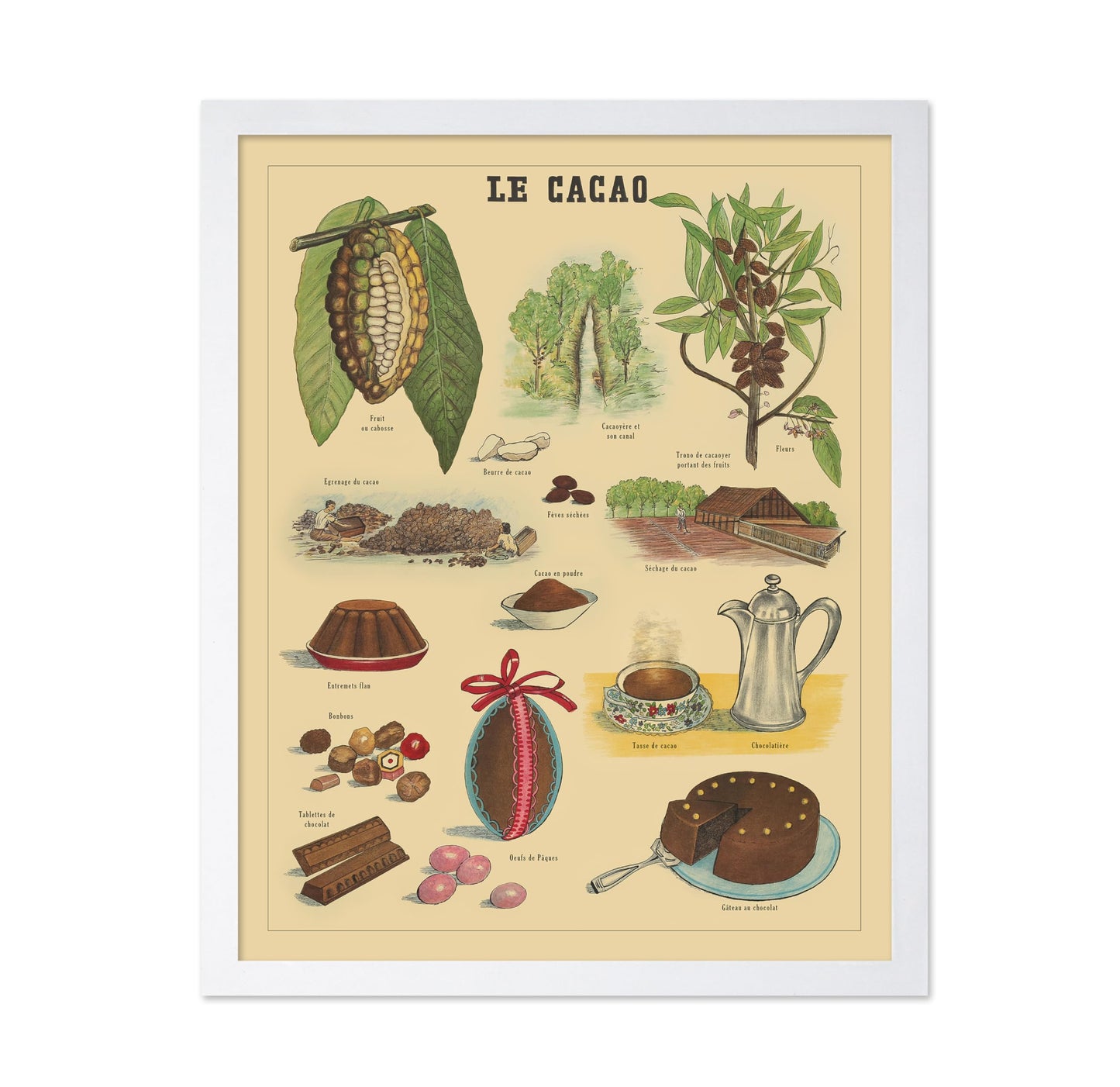 Le Cacao