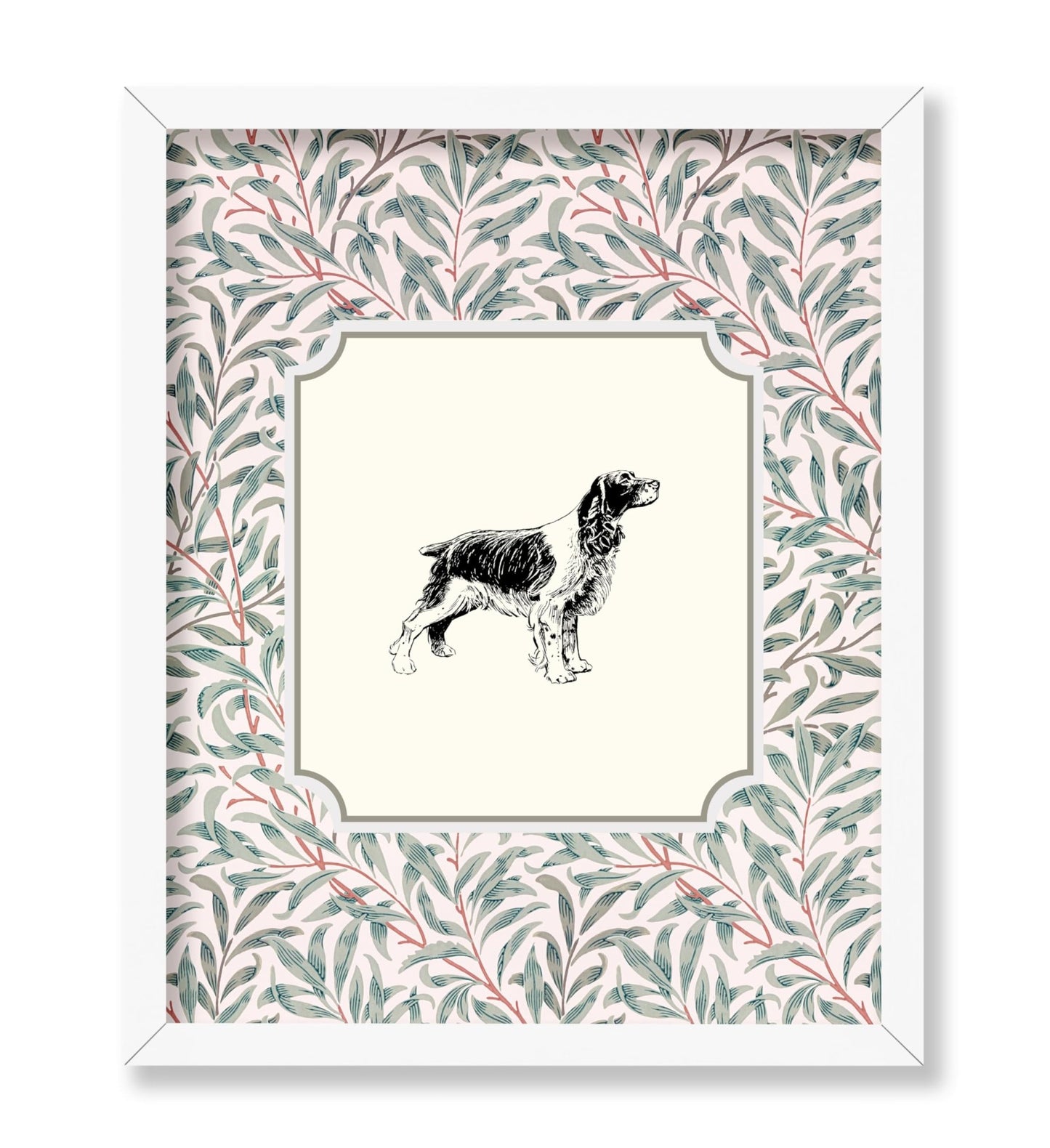 English Cocker Spaniel