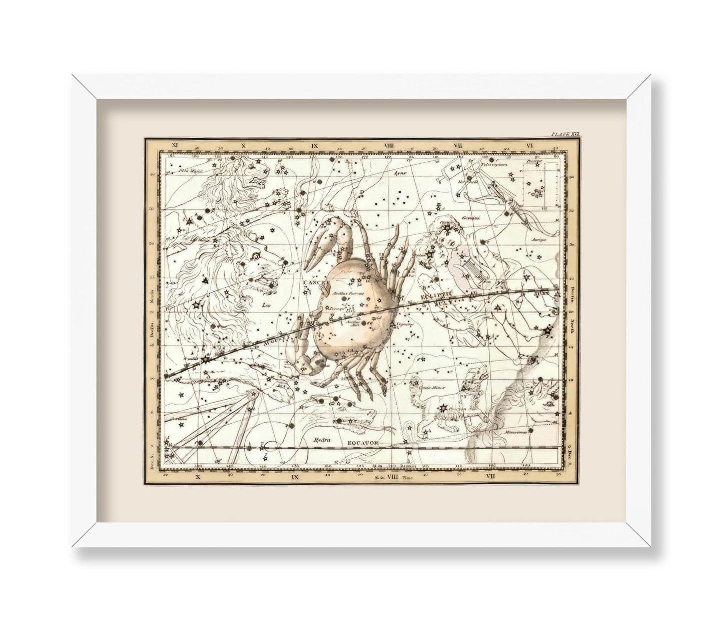 Cancer the Crab Zodiac Sign