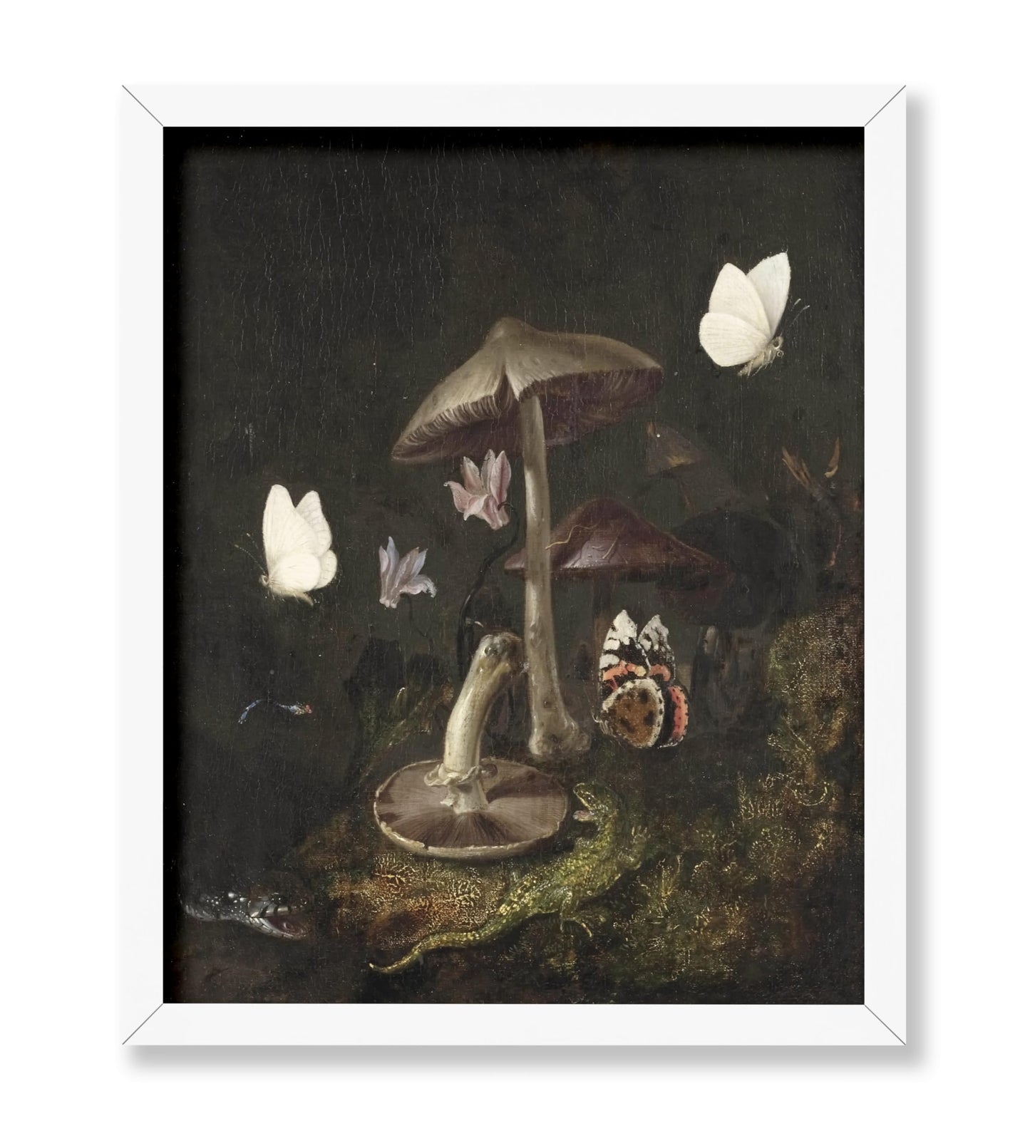 A Sotto Bosco with Mushrooms, Butterflies, a Dragonfly, a Snake and a Lizard