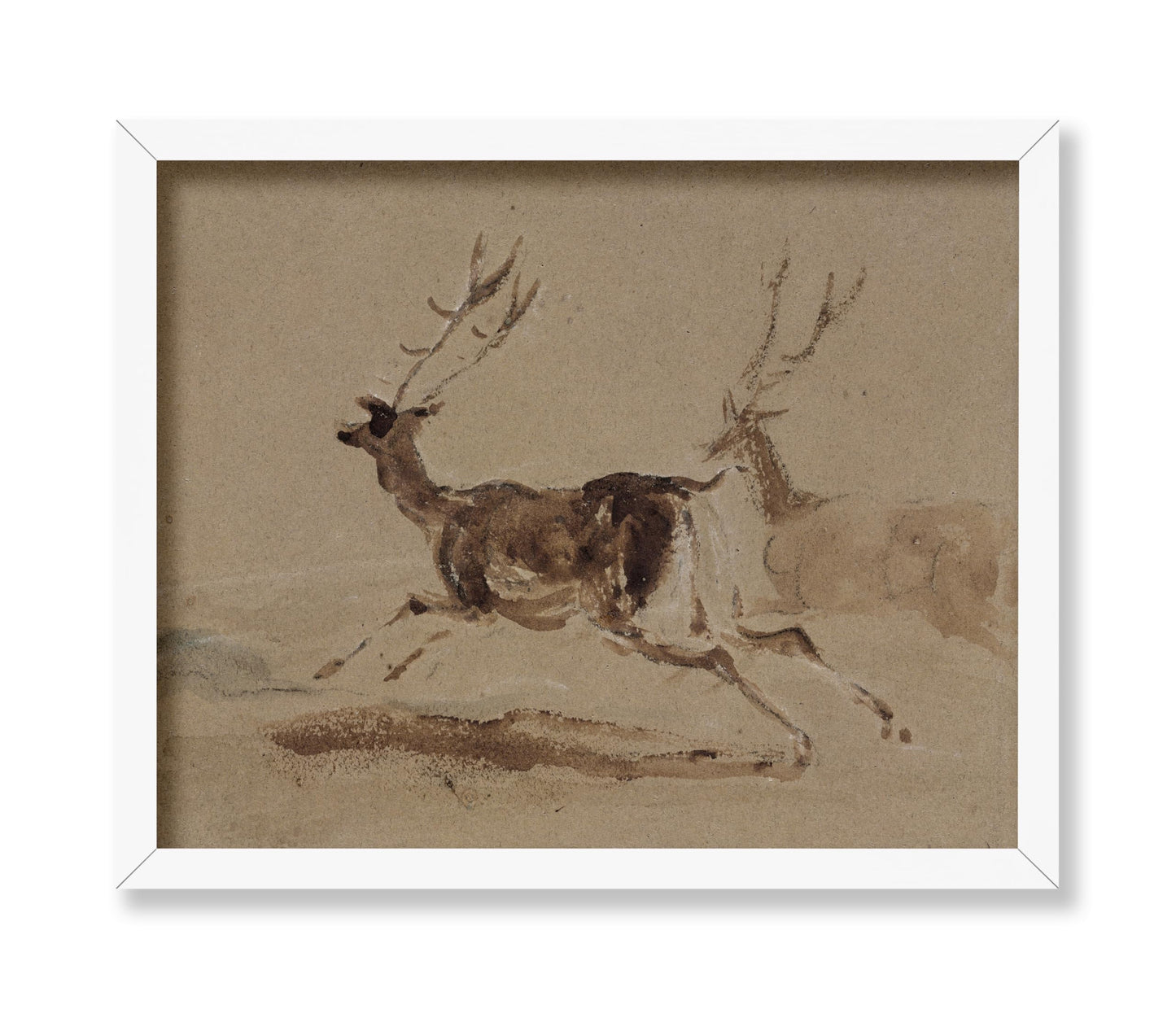 Two Stags Running