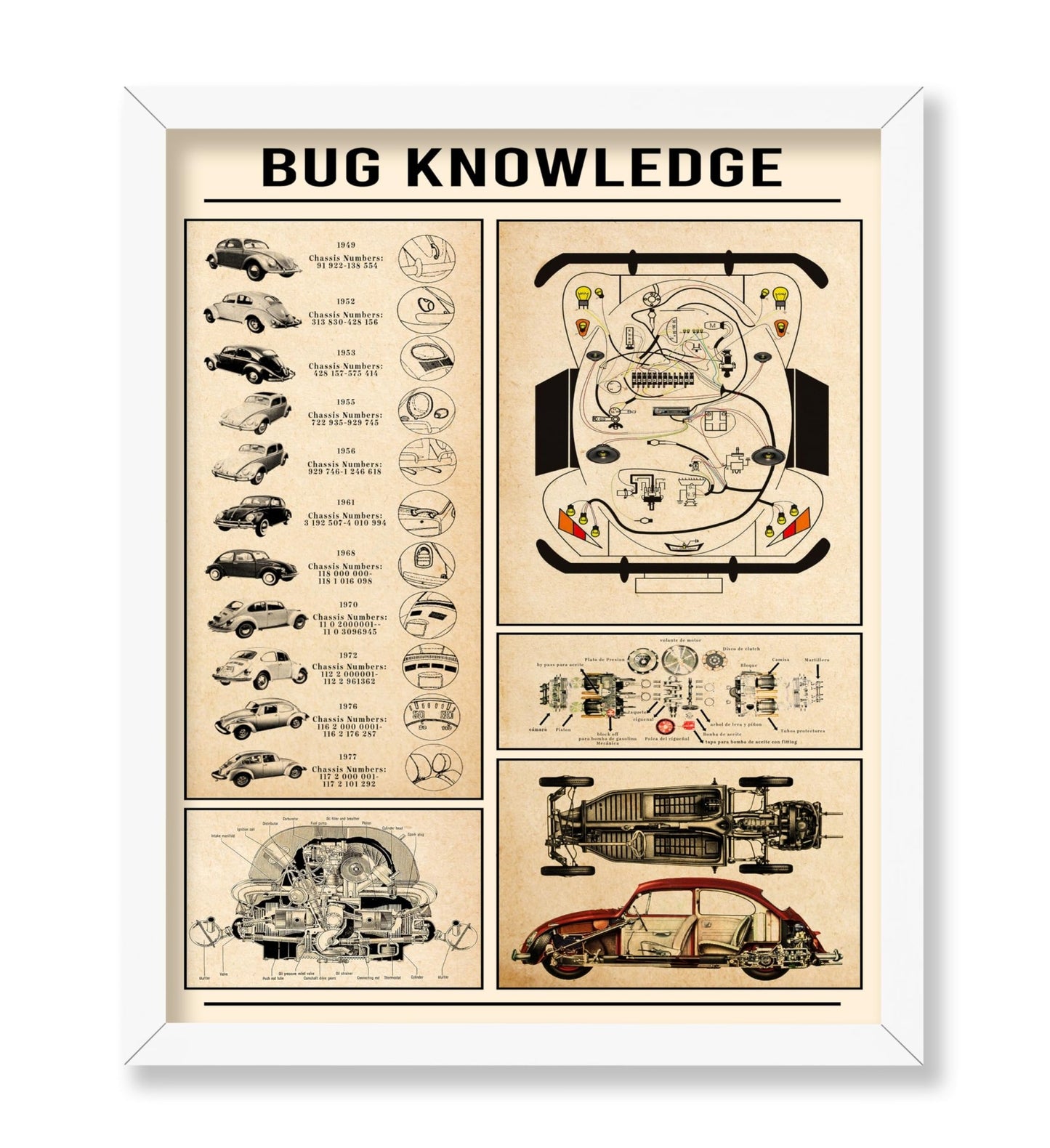 Bug Knowledge