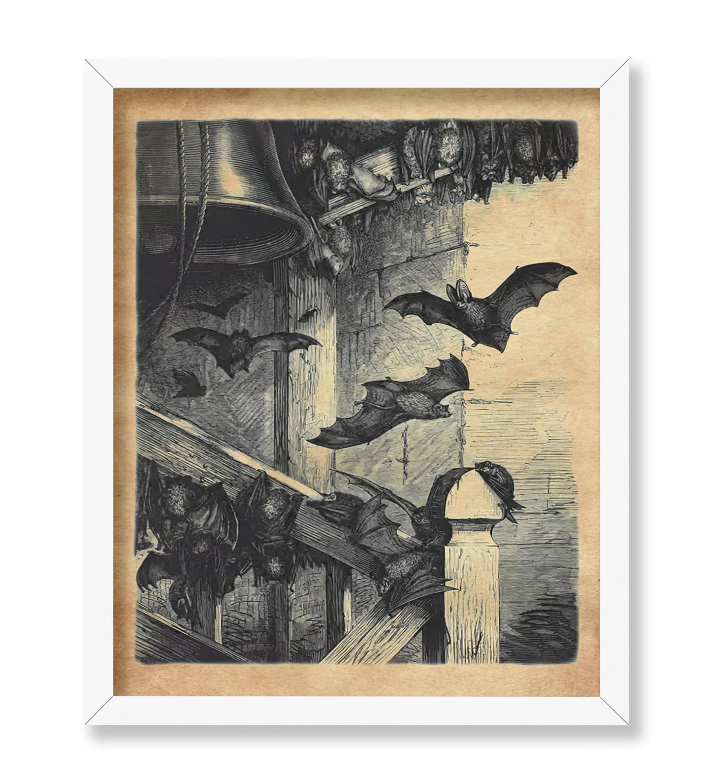 Bats In The Belfry