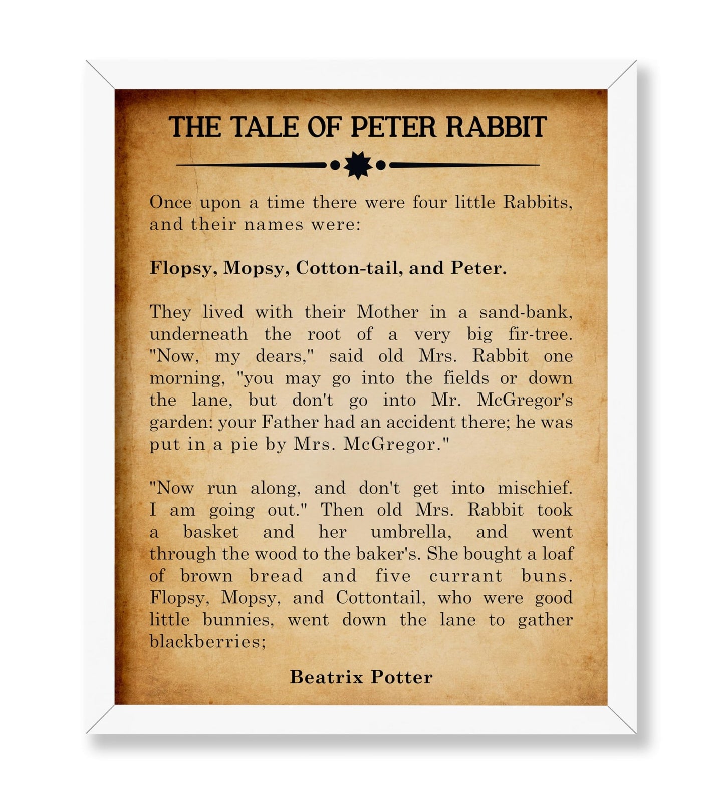 Beatrix Potter The Tale of Peter Rabbit