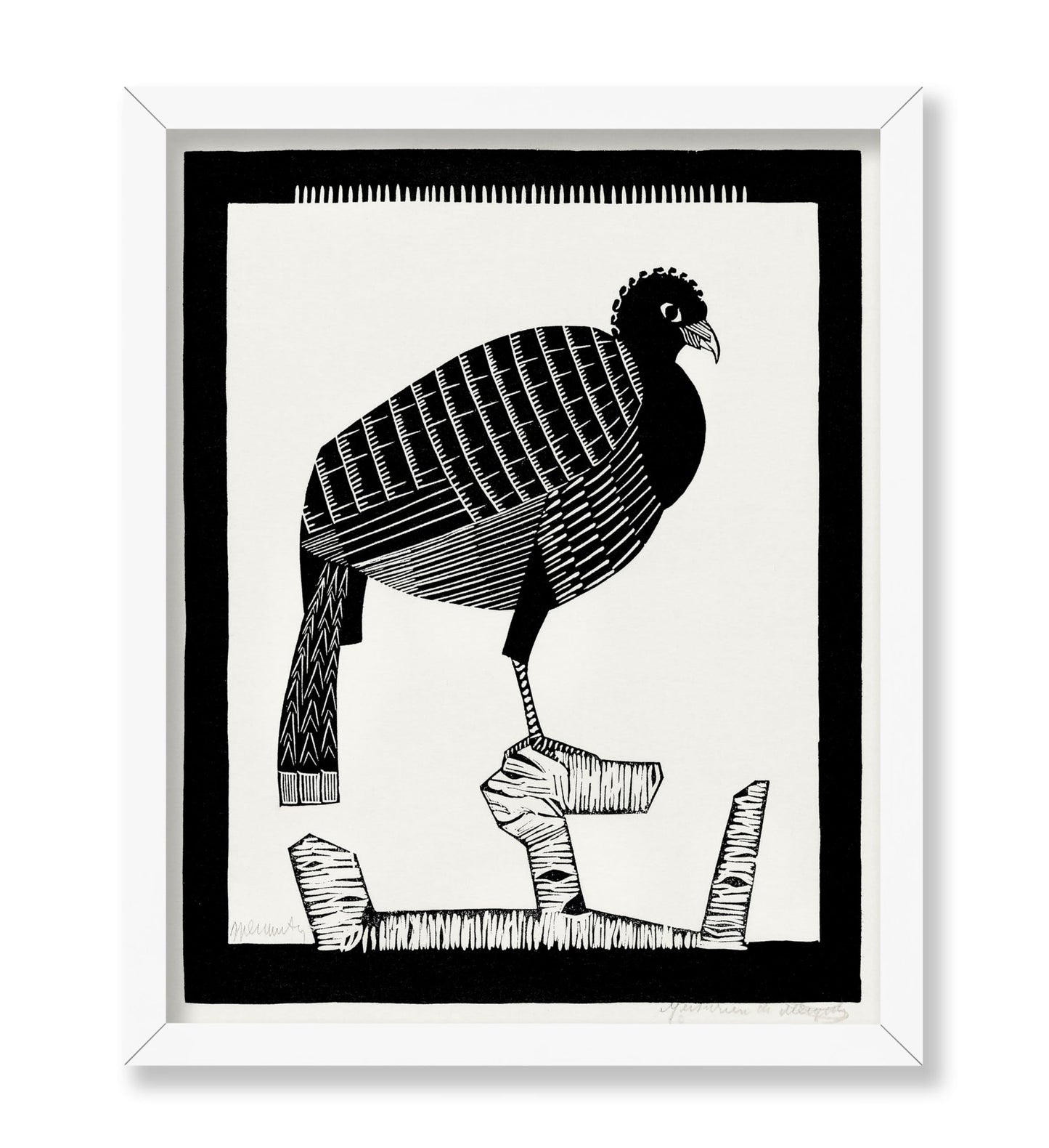 Pauwies Bird