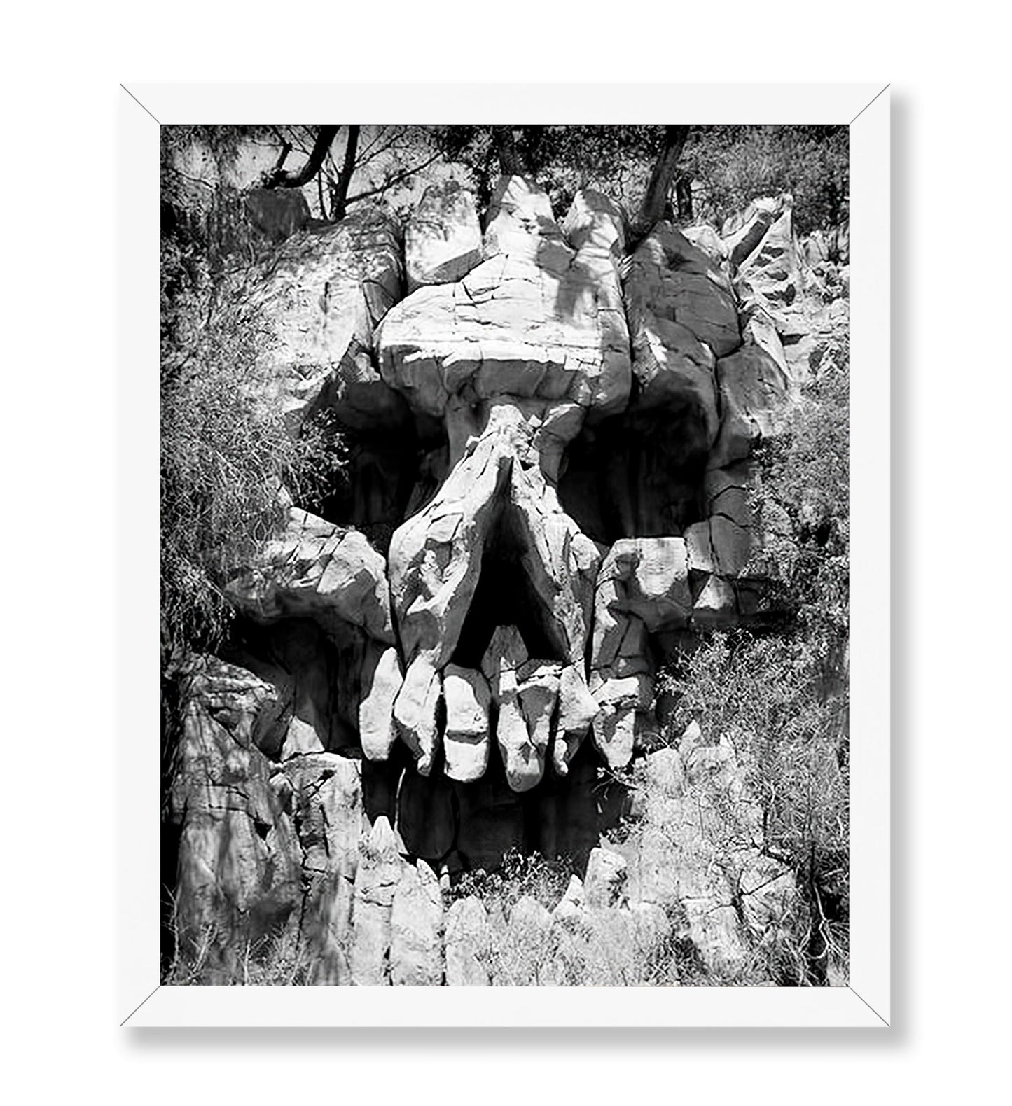 Skull Landscape