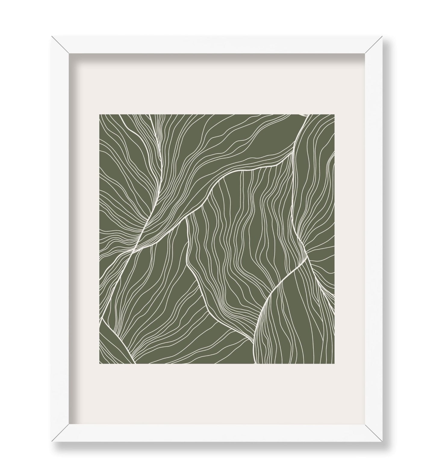 White Contour Lines