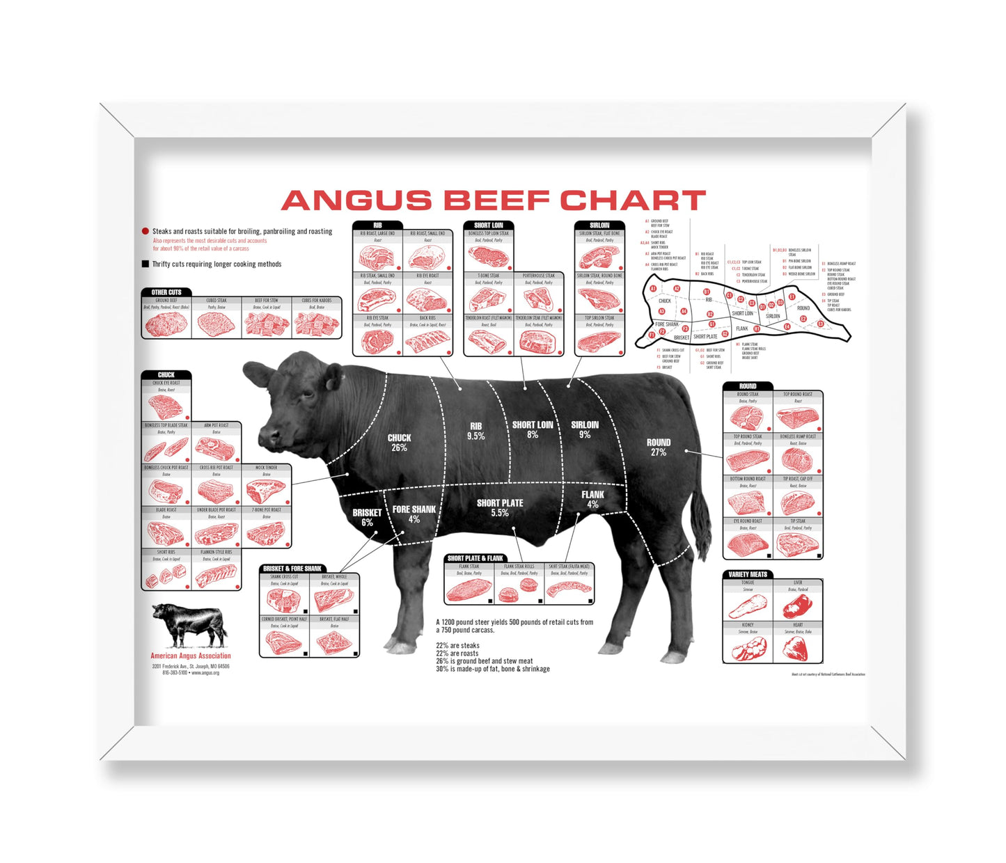Angus Beef Chart