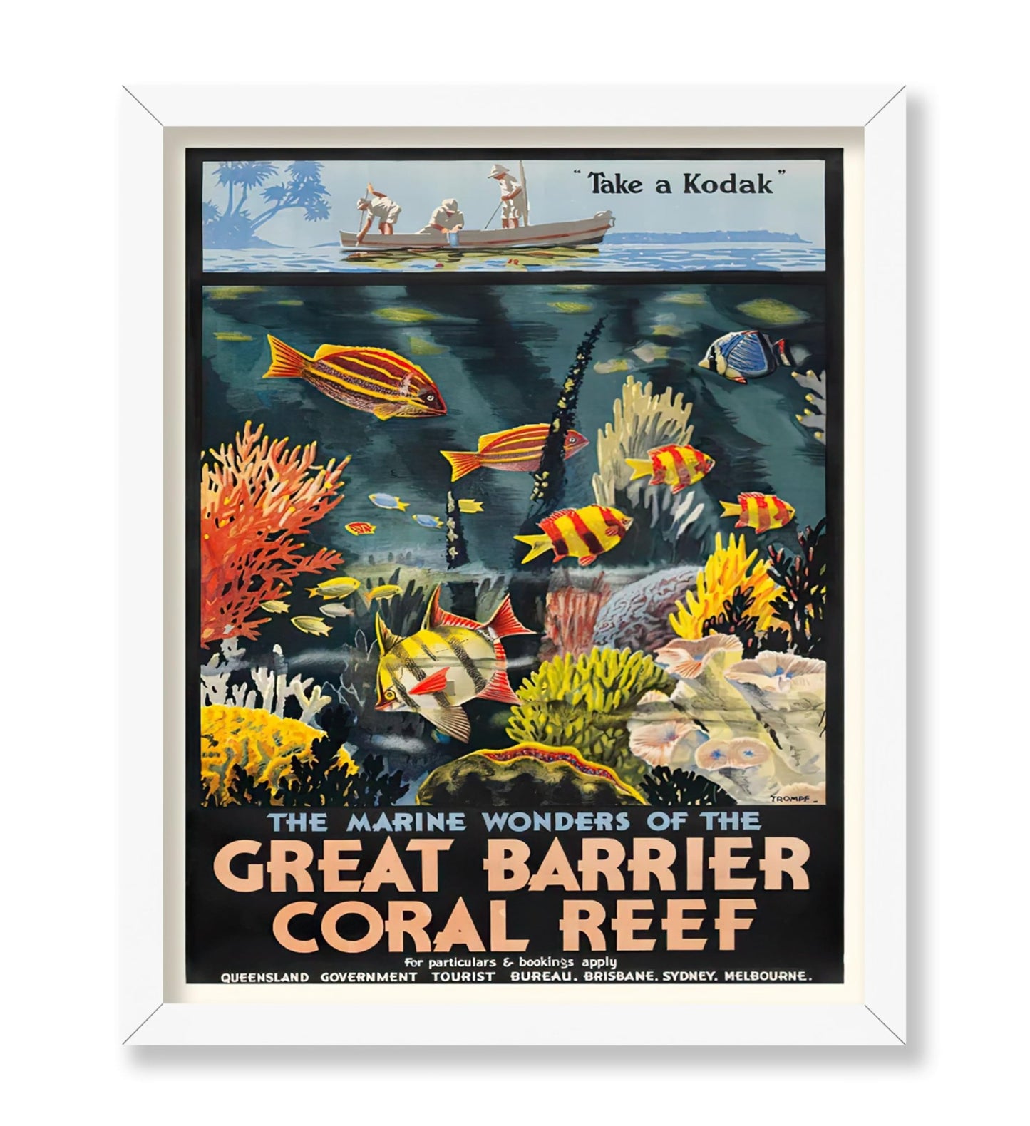 The Marine Wonders of the Great Barrier Coral Reef
