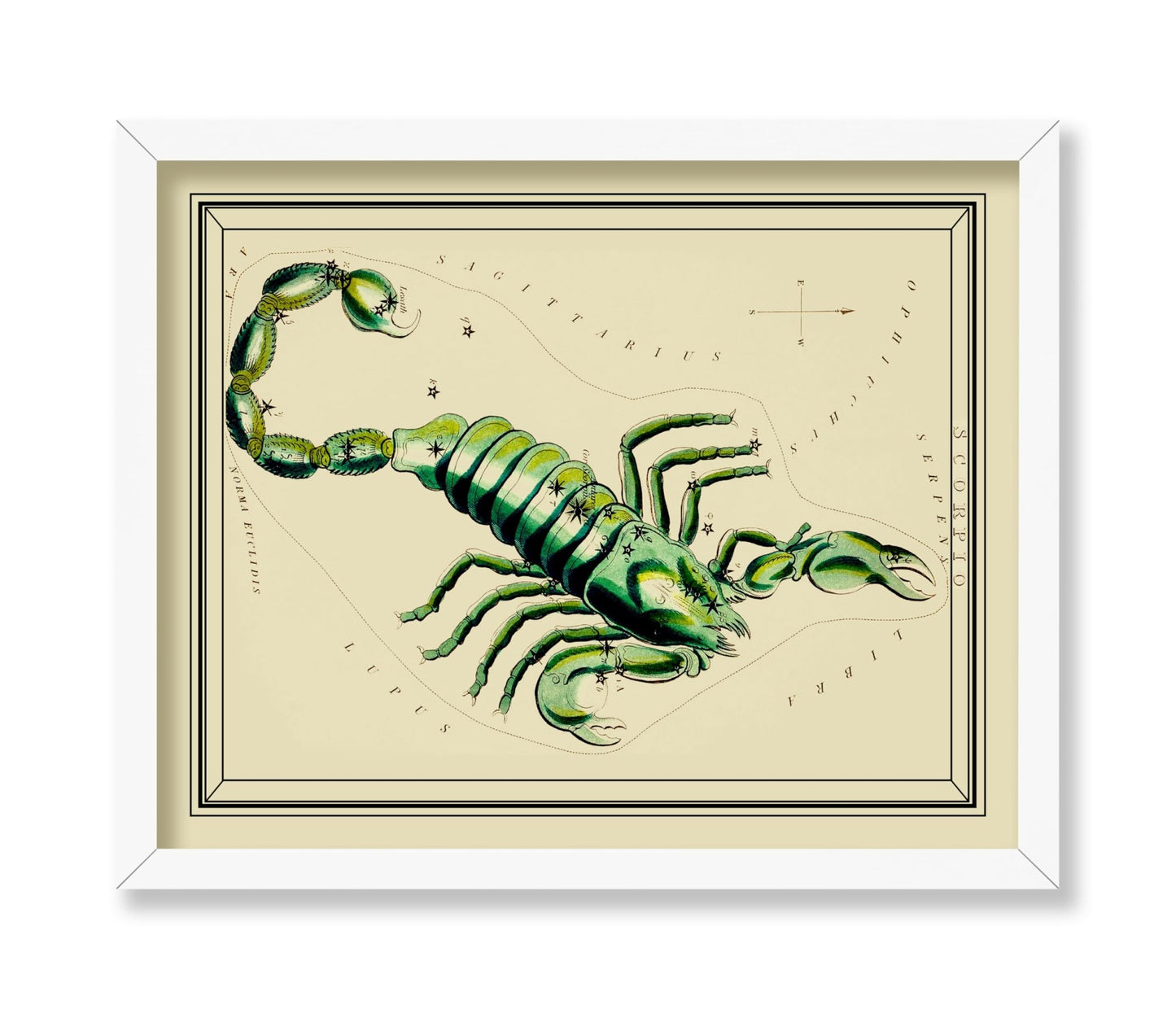 Urania's Mirror Scorpio