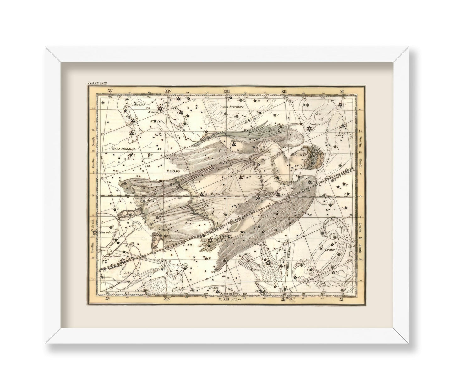 Virgo Zodiac Sign