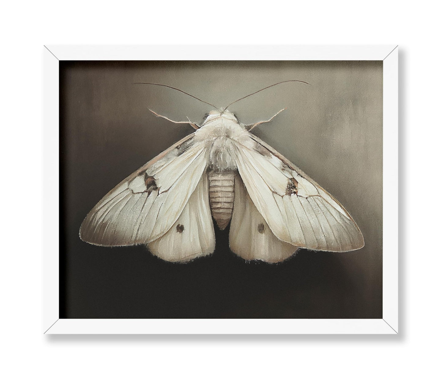 Moth