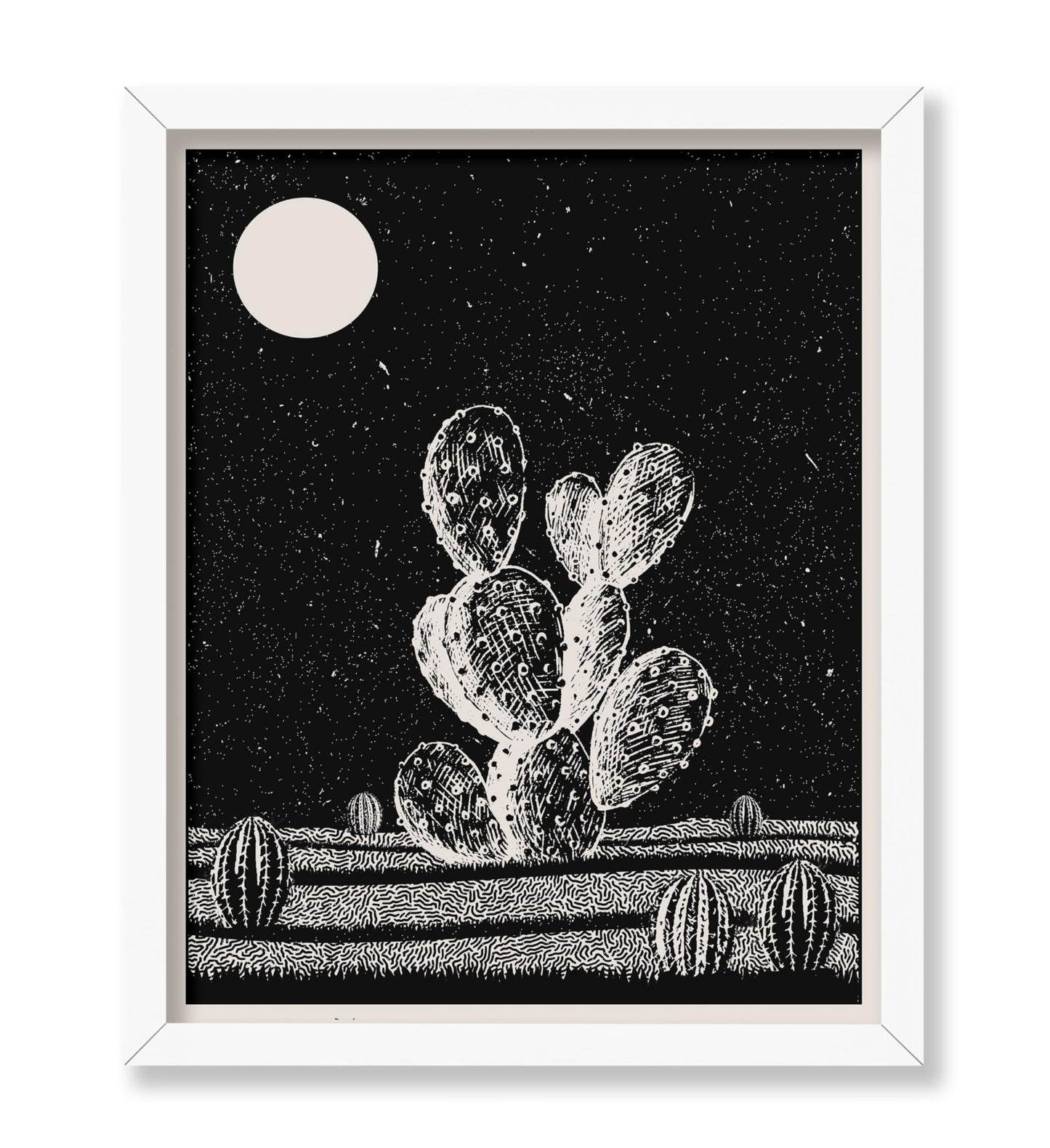 Cactus at Night
